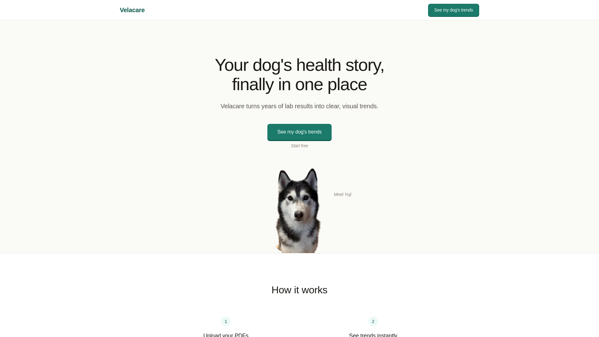 website screenshot of https://velacare.app/
