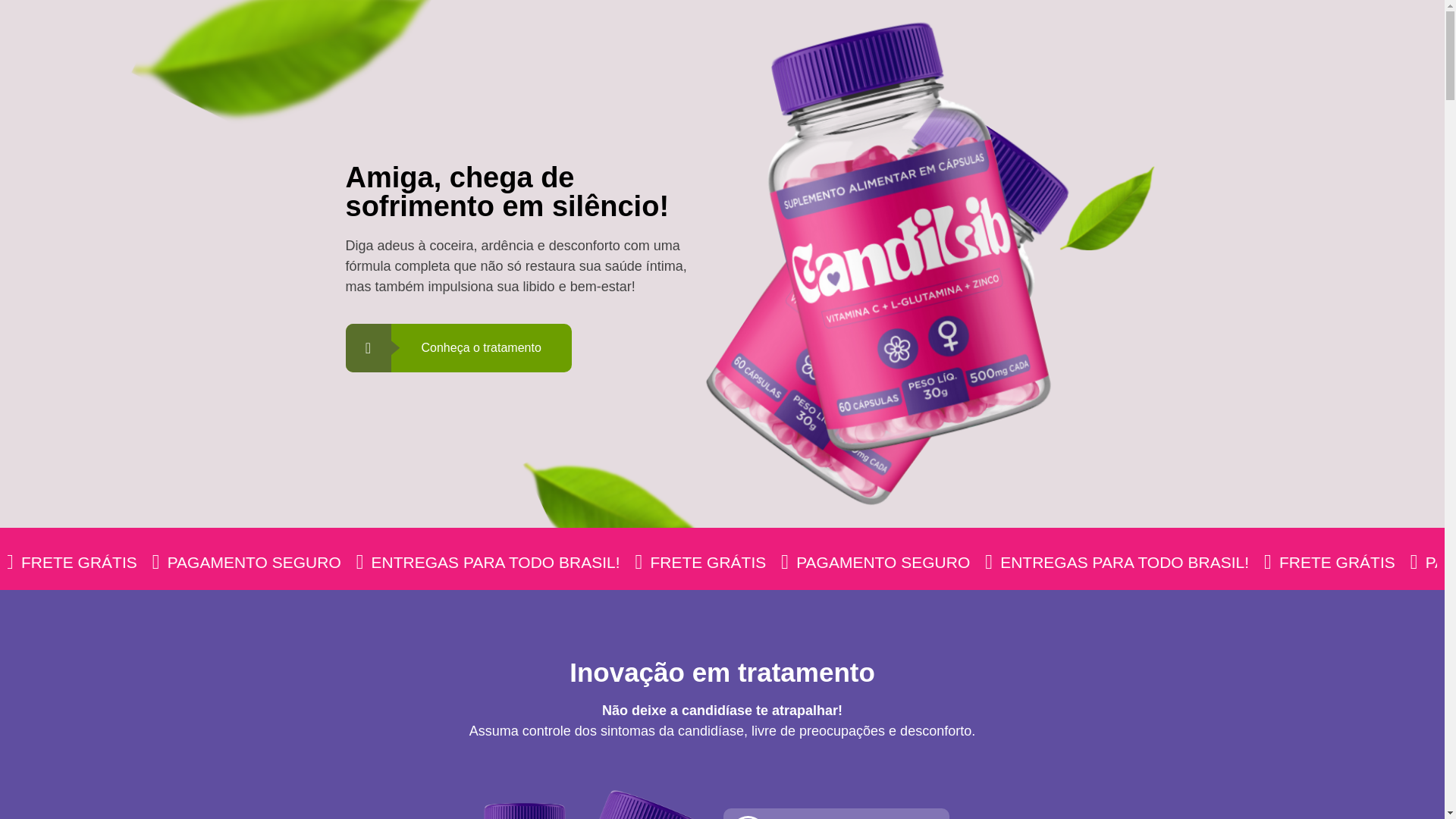 website screenshot of https://candilibi.site/