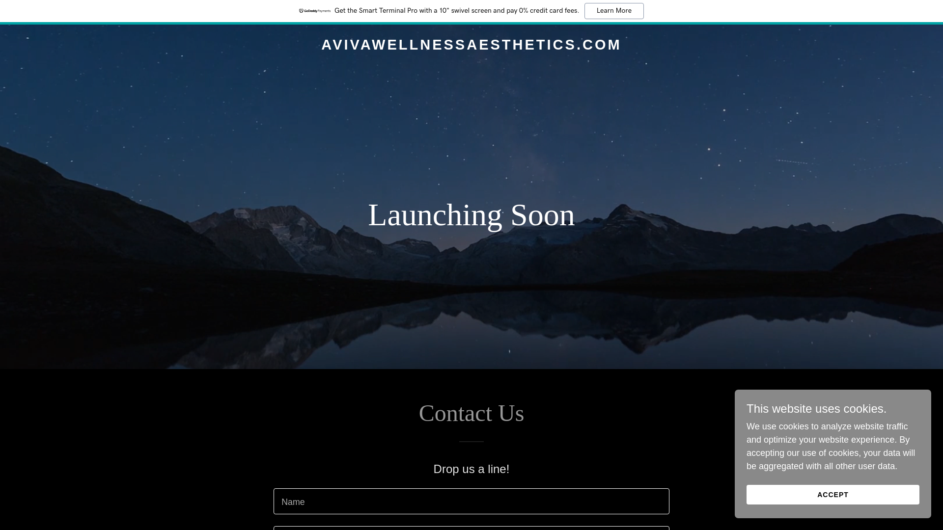 website screenshot of https://avivawellnessaesthetics.com/