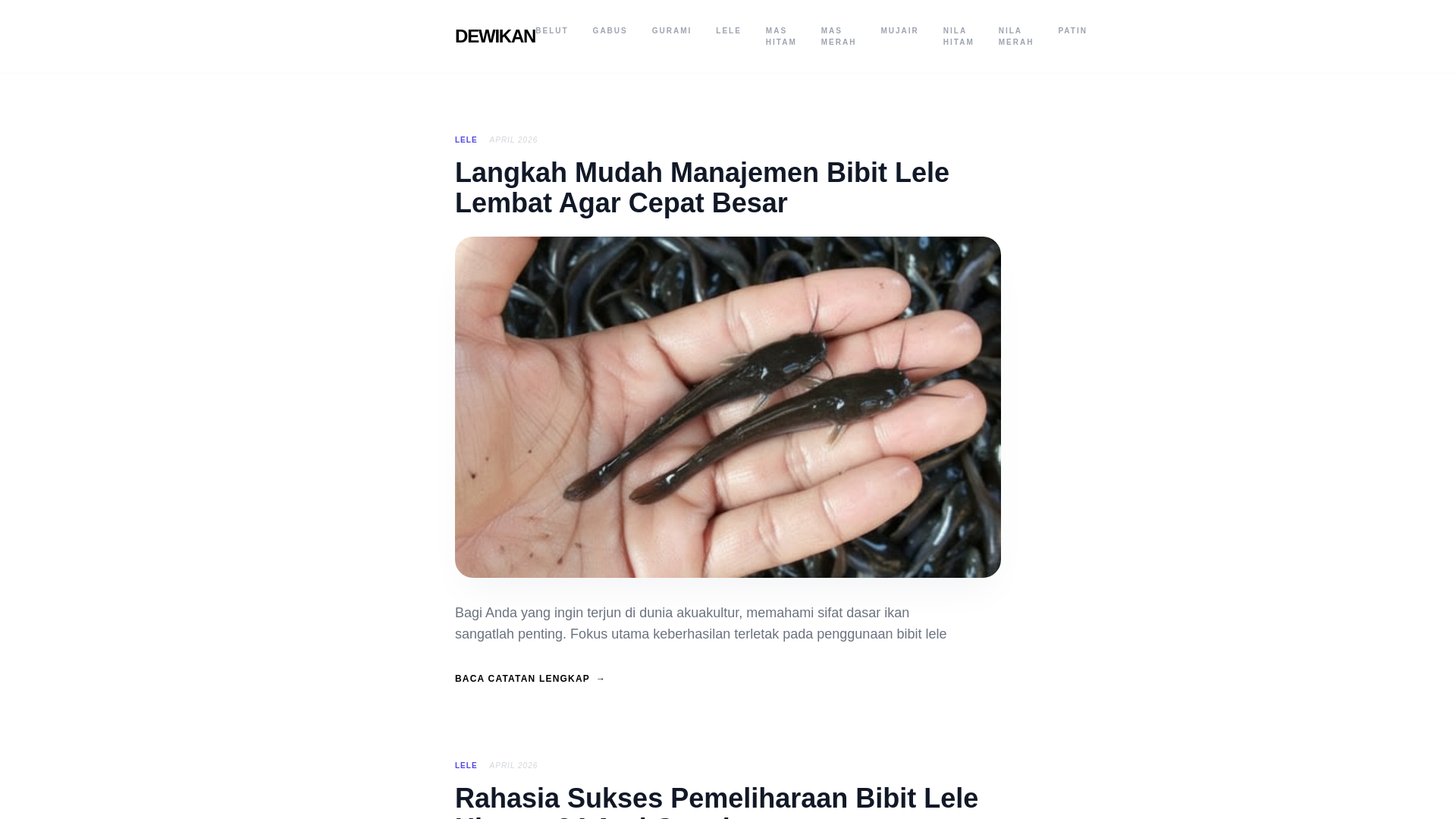 website screenshot of https://dewikan.pages.dev/