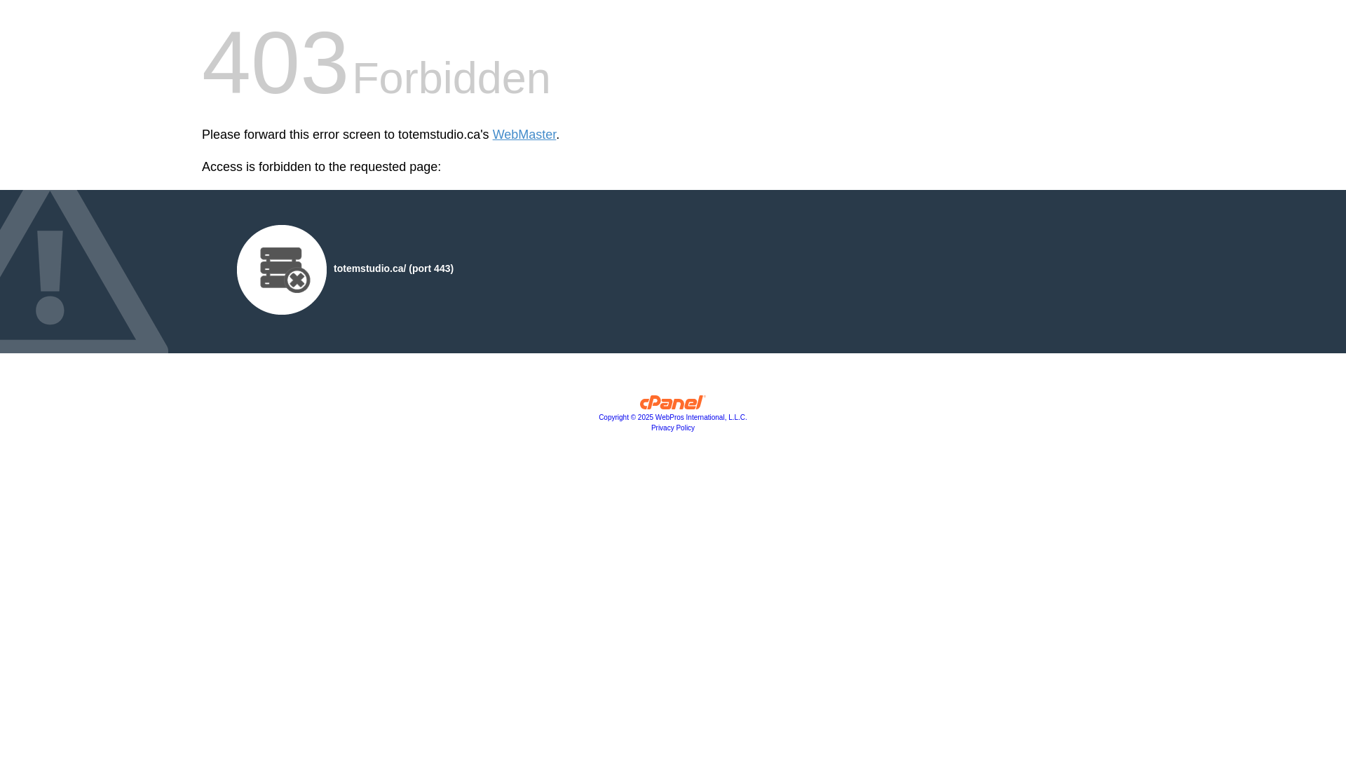 website screenshot of https://totemstudio.ca/
