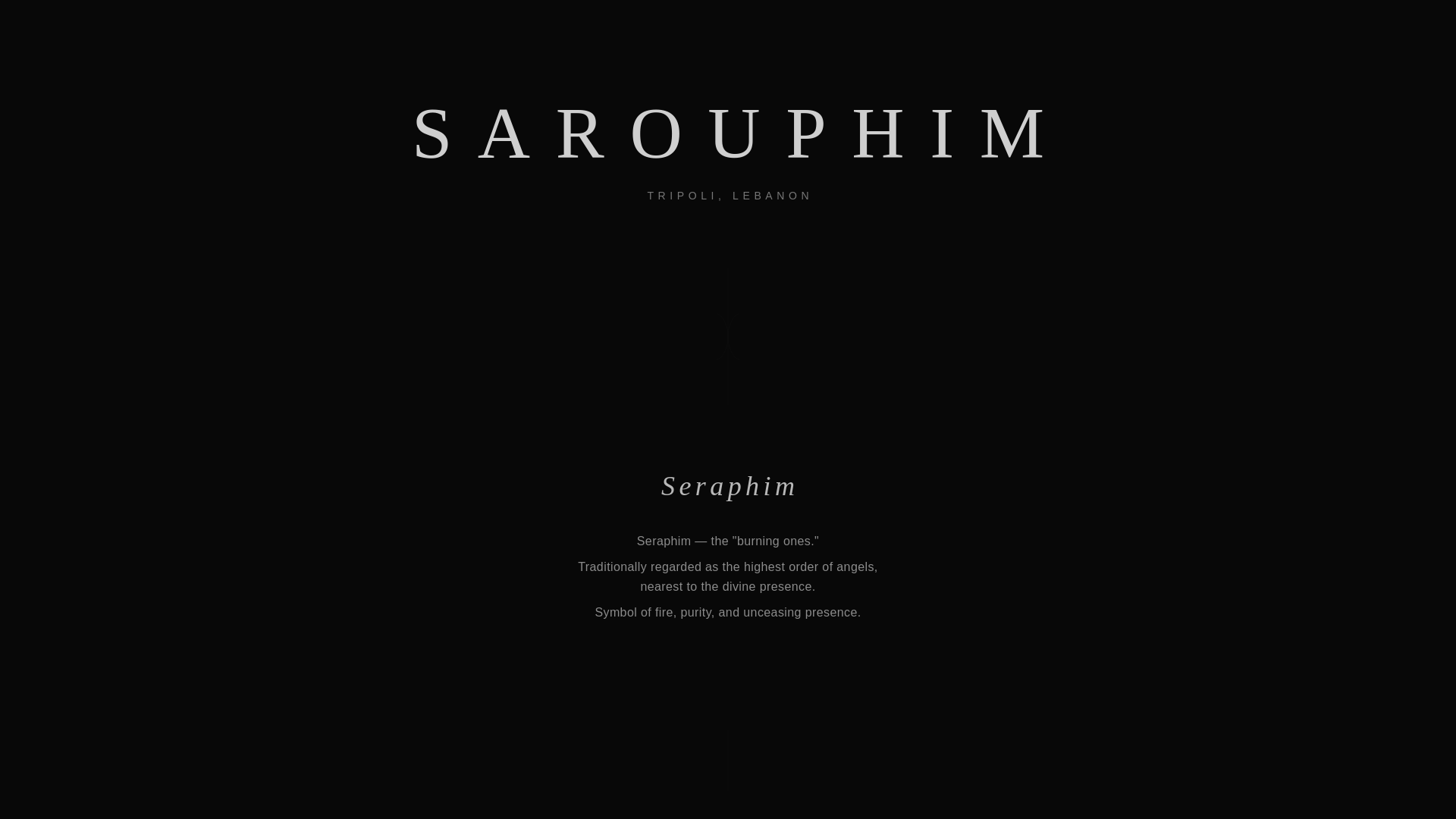 website screenshot of https://sarouphim.com/