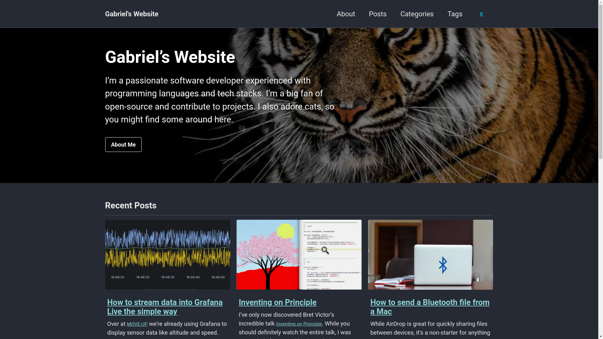 website screenshot of https://gabriels.cloud/