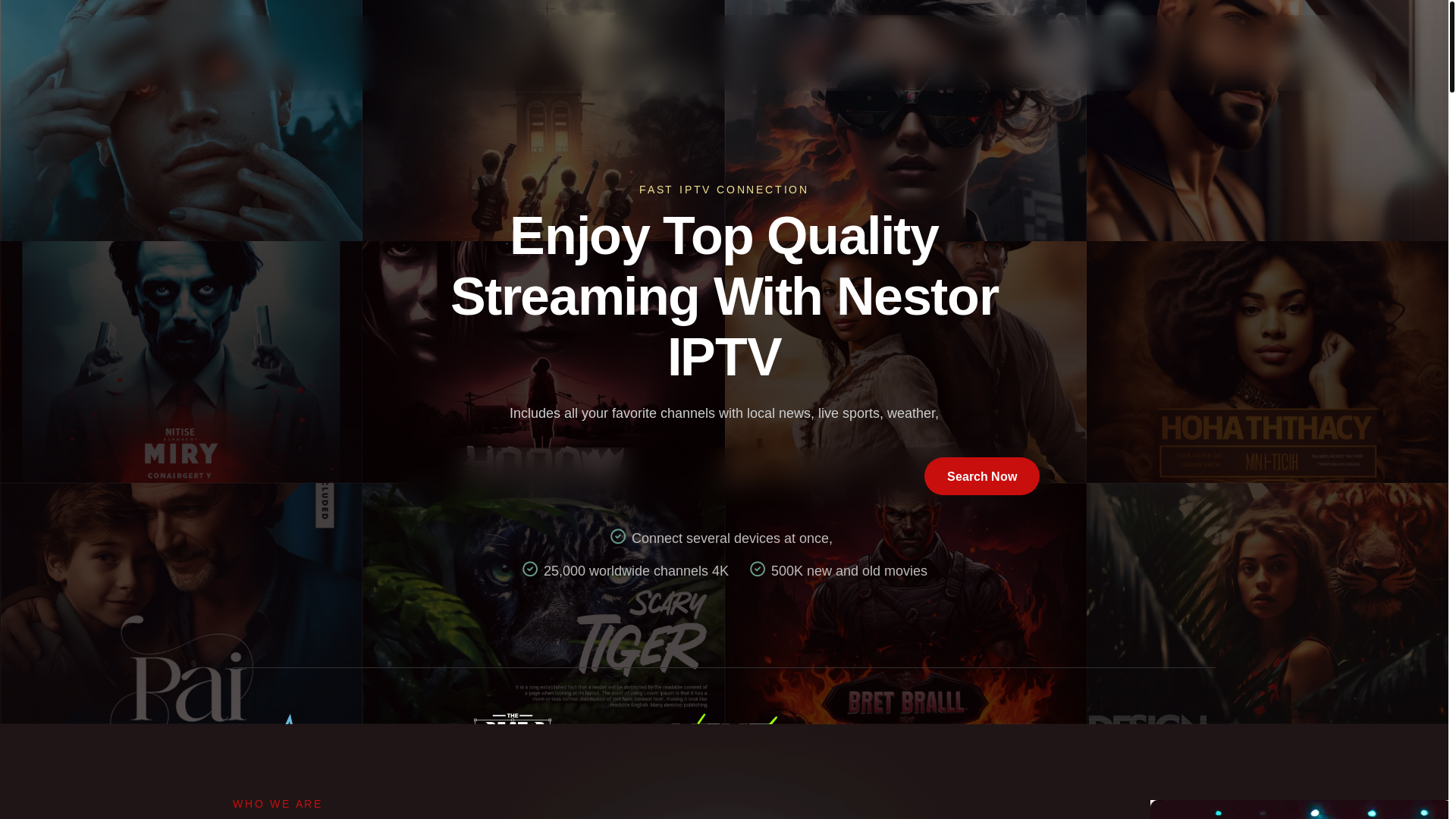 website screenshot of https://irontvproservice.com/
