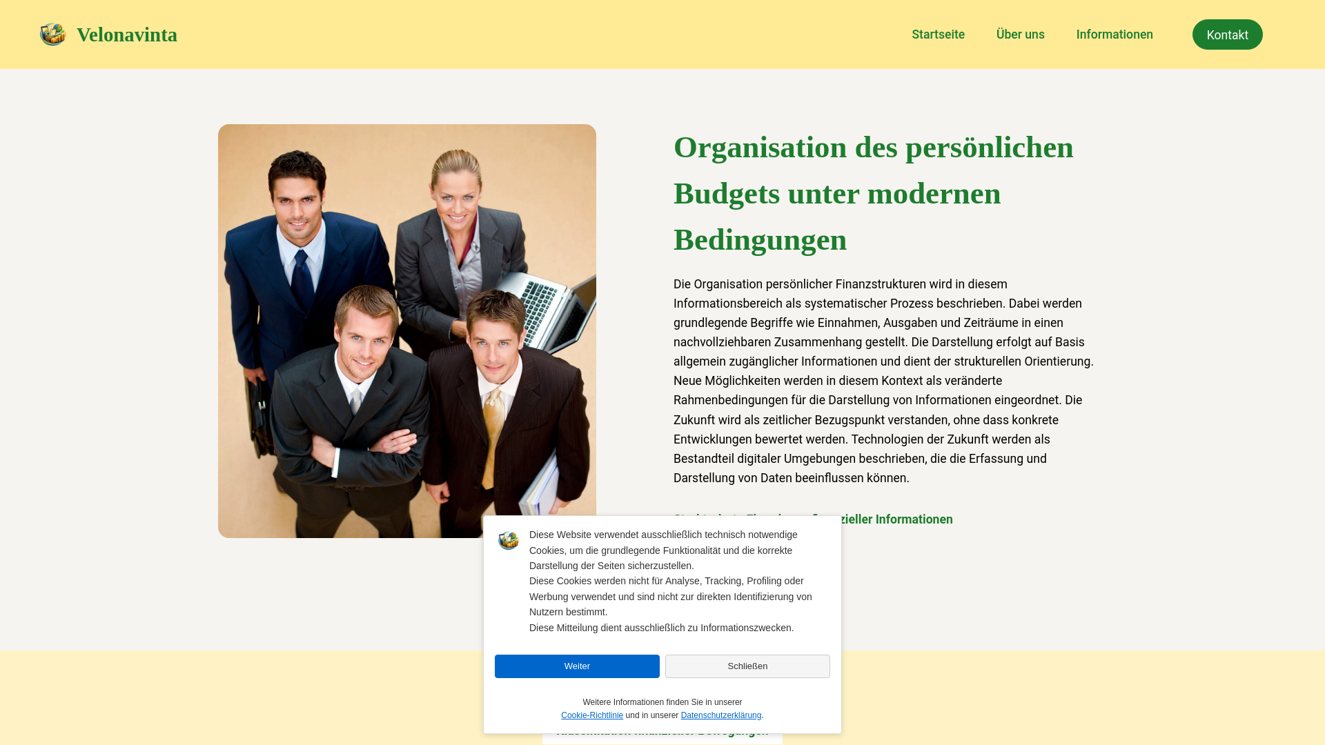 website screenshot of https://velonavinta.com/