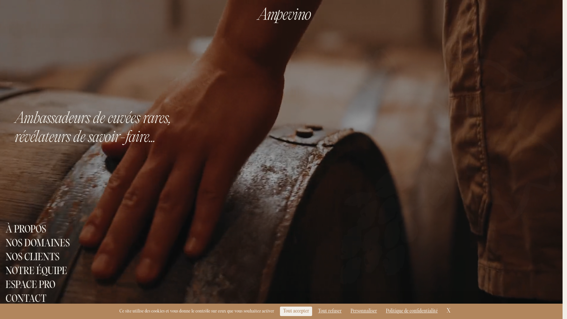 website screenshot of https://ampevino.ovh/