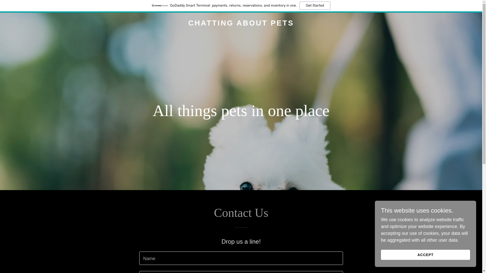 website screenshot of https://chattingaboutpets.com/