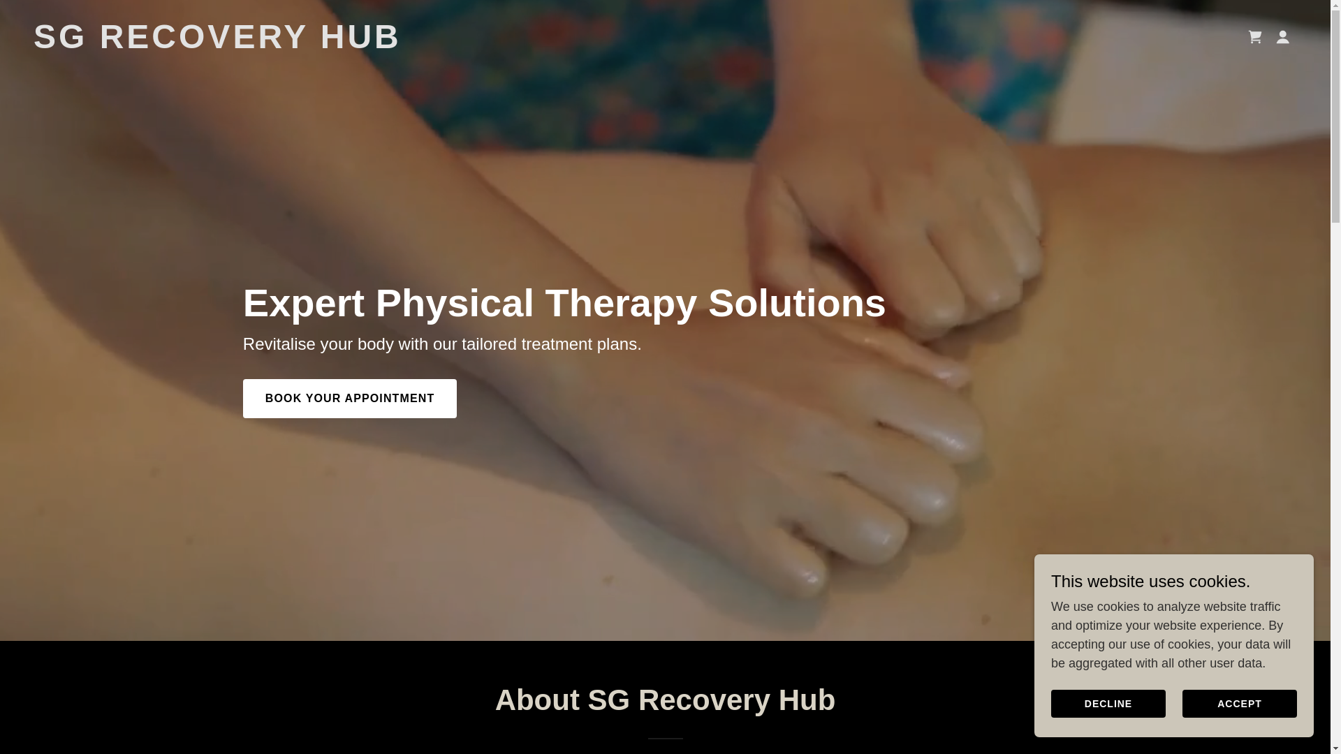 website screenshot of https://sgrecoveryhub.com/