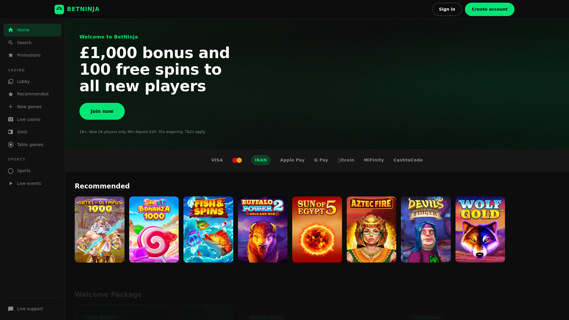 website screenshot of https://betninjacasino.cyou/