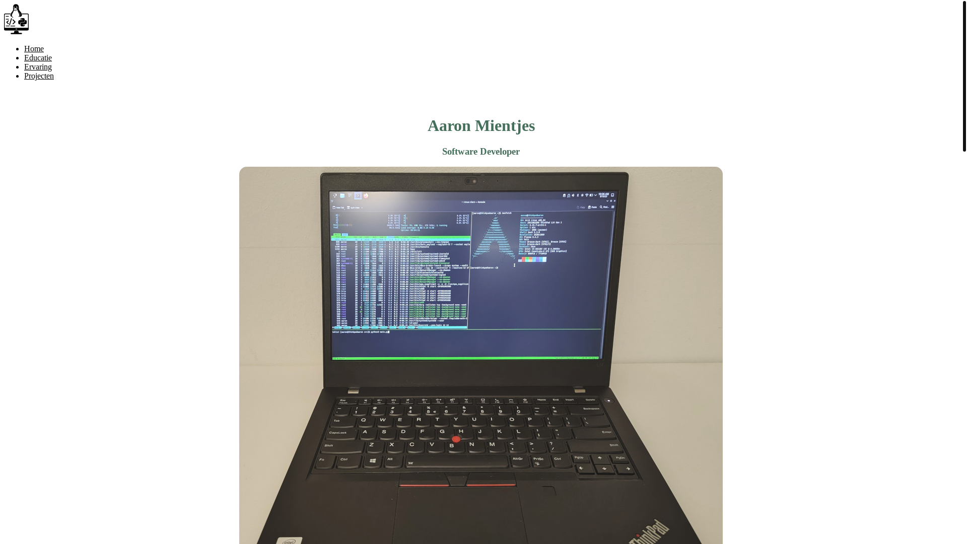 website screenshot of https://aaronmientjes.nl/