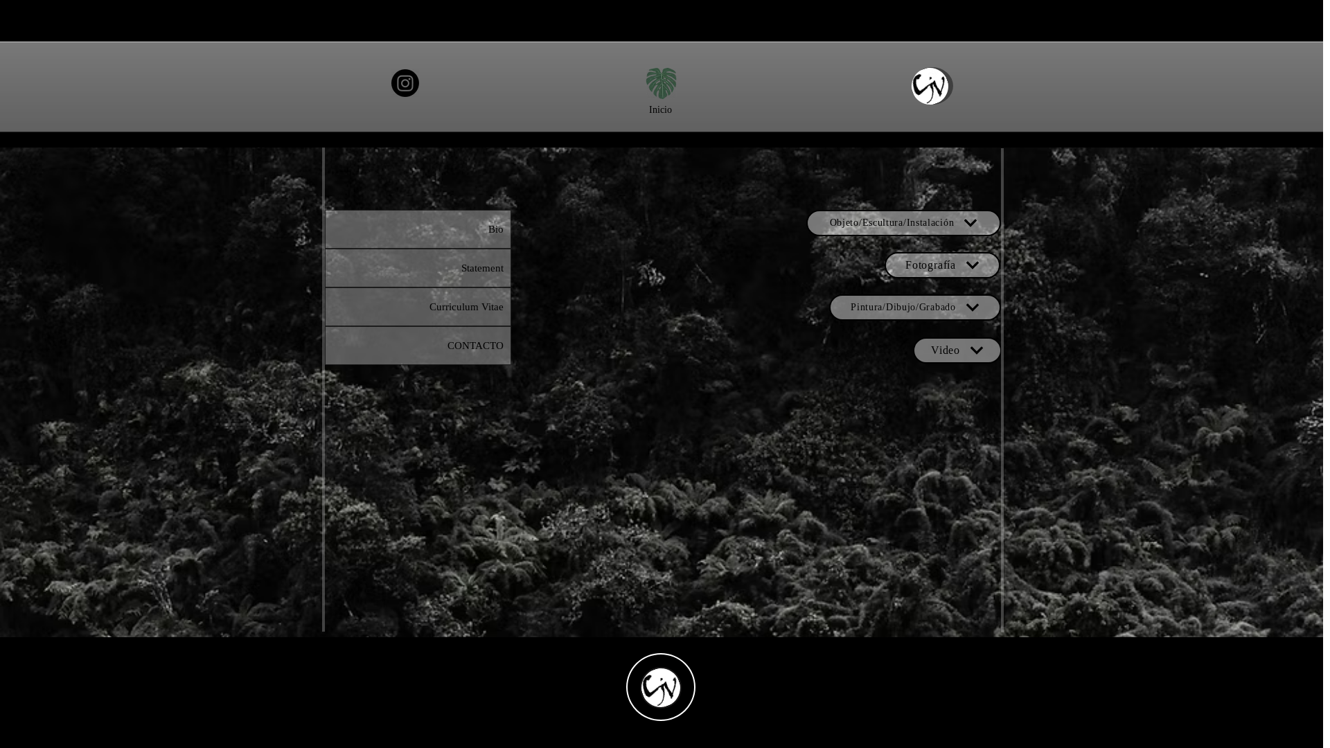 website screenshot of https://carlosvillegasv.com/