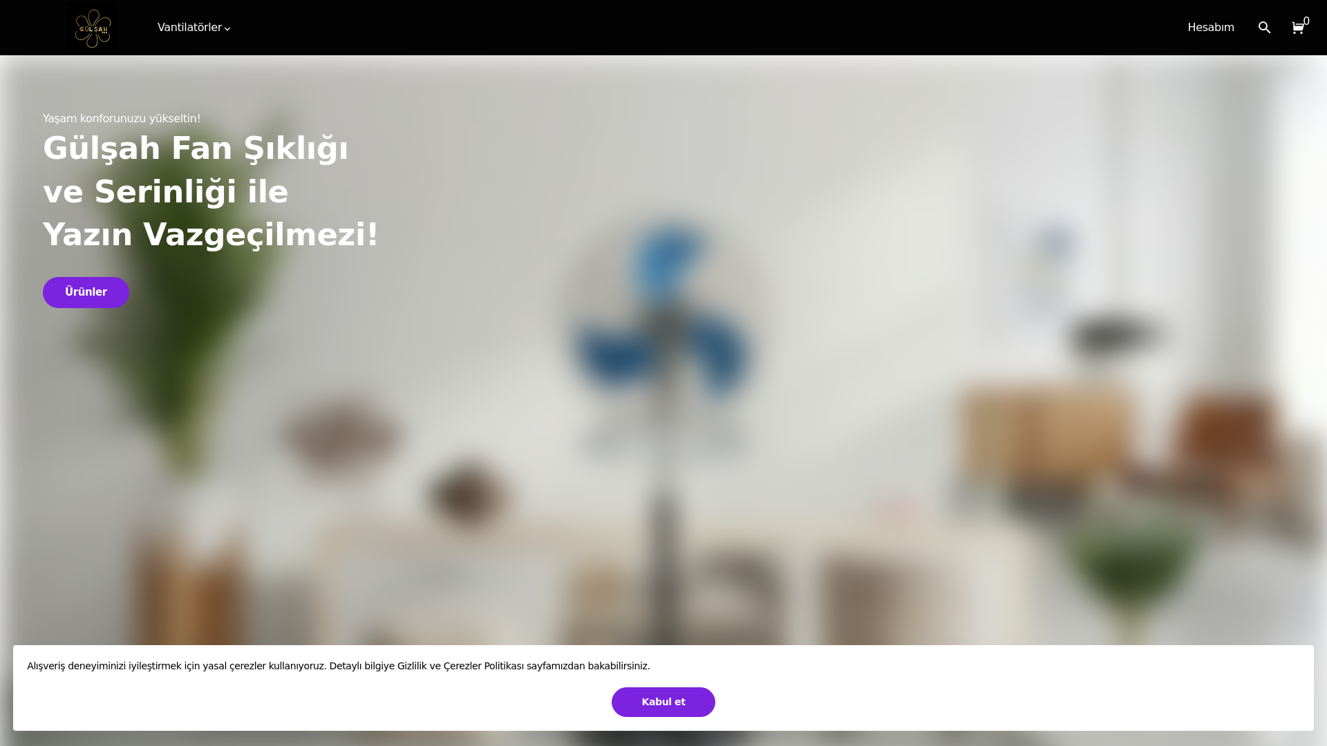 website screenshot of https://gulsahfan.com.tr/