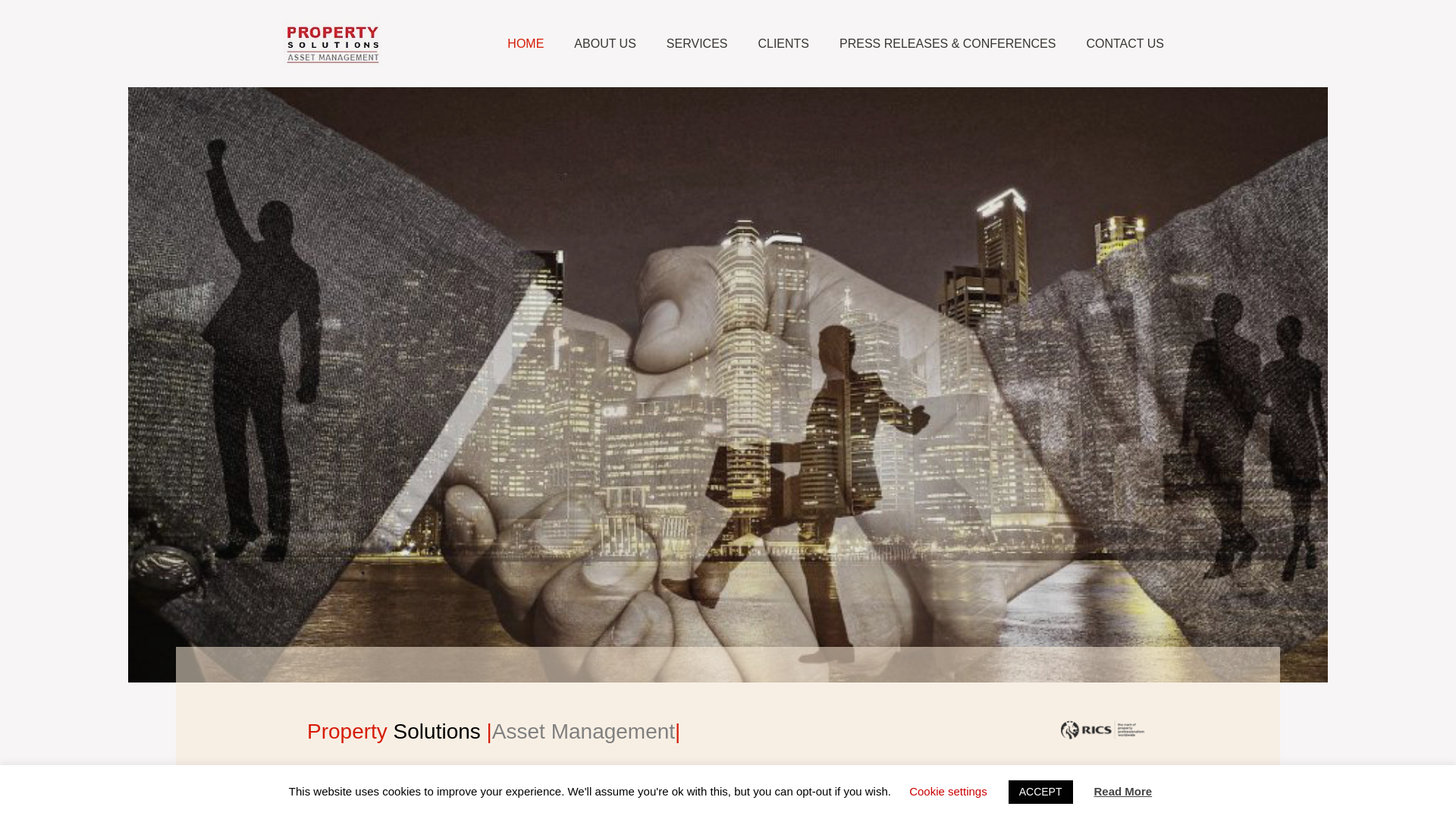 website screenshot of https://www.property-solutions.gr/