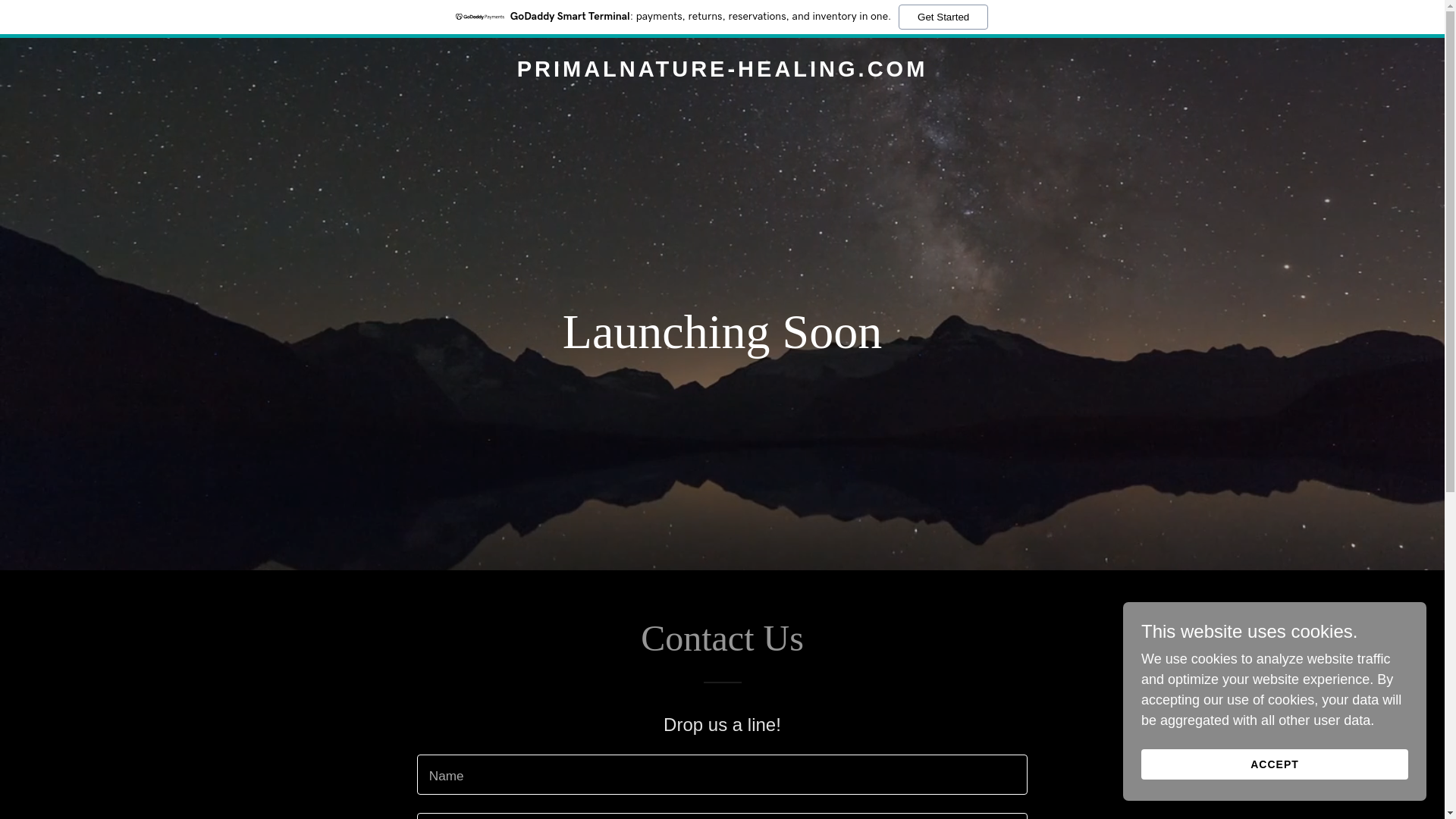 website screenshot of https://primalnature-healing.com/