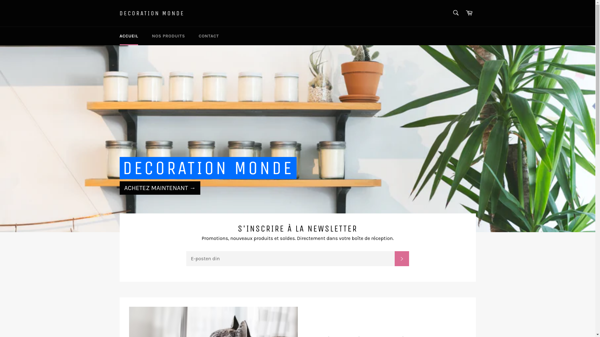 website screenshot of https://dekorasjon-moderne.com/