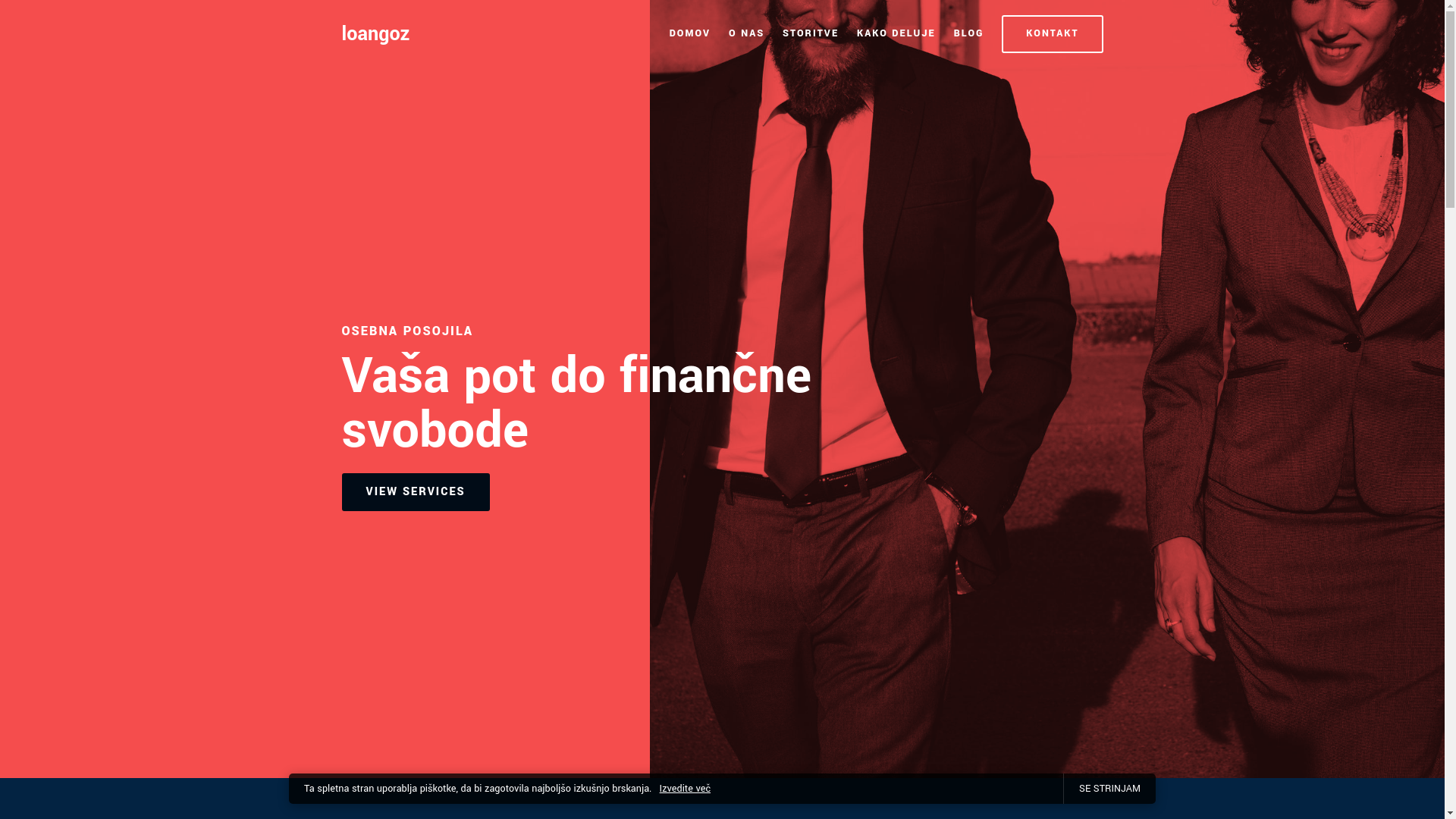 website screenshot of https://loangoz.com/