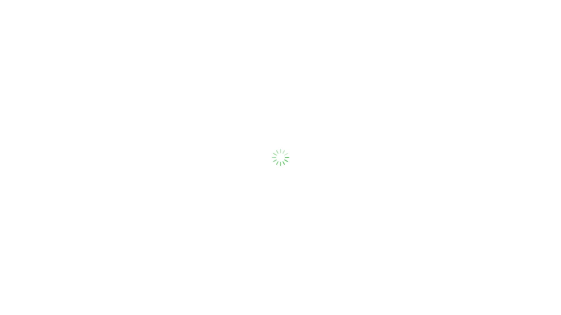 website screenshot of https://fejan.us/