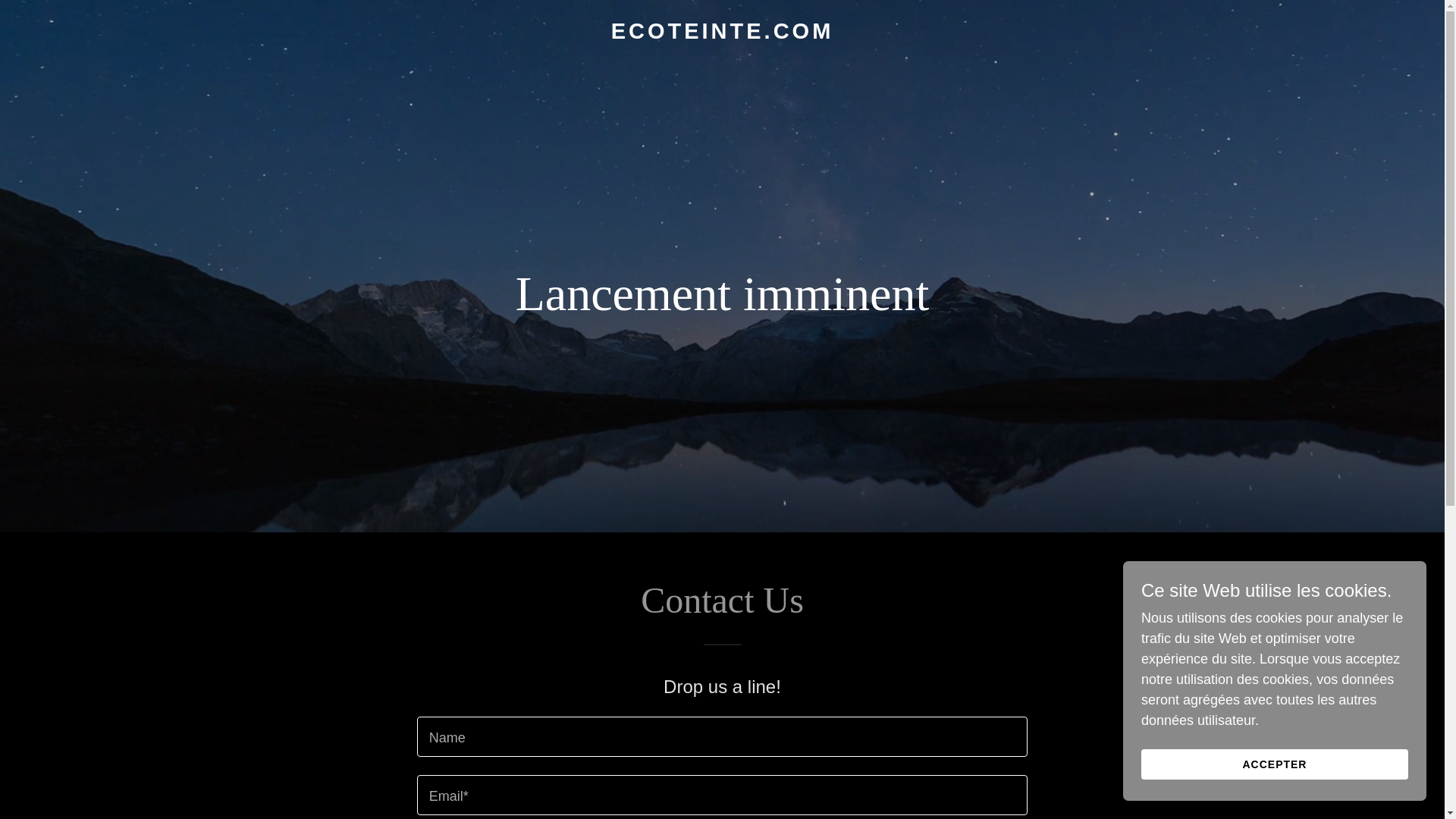 website screenshot of https://ecoteinte.com/