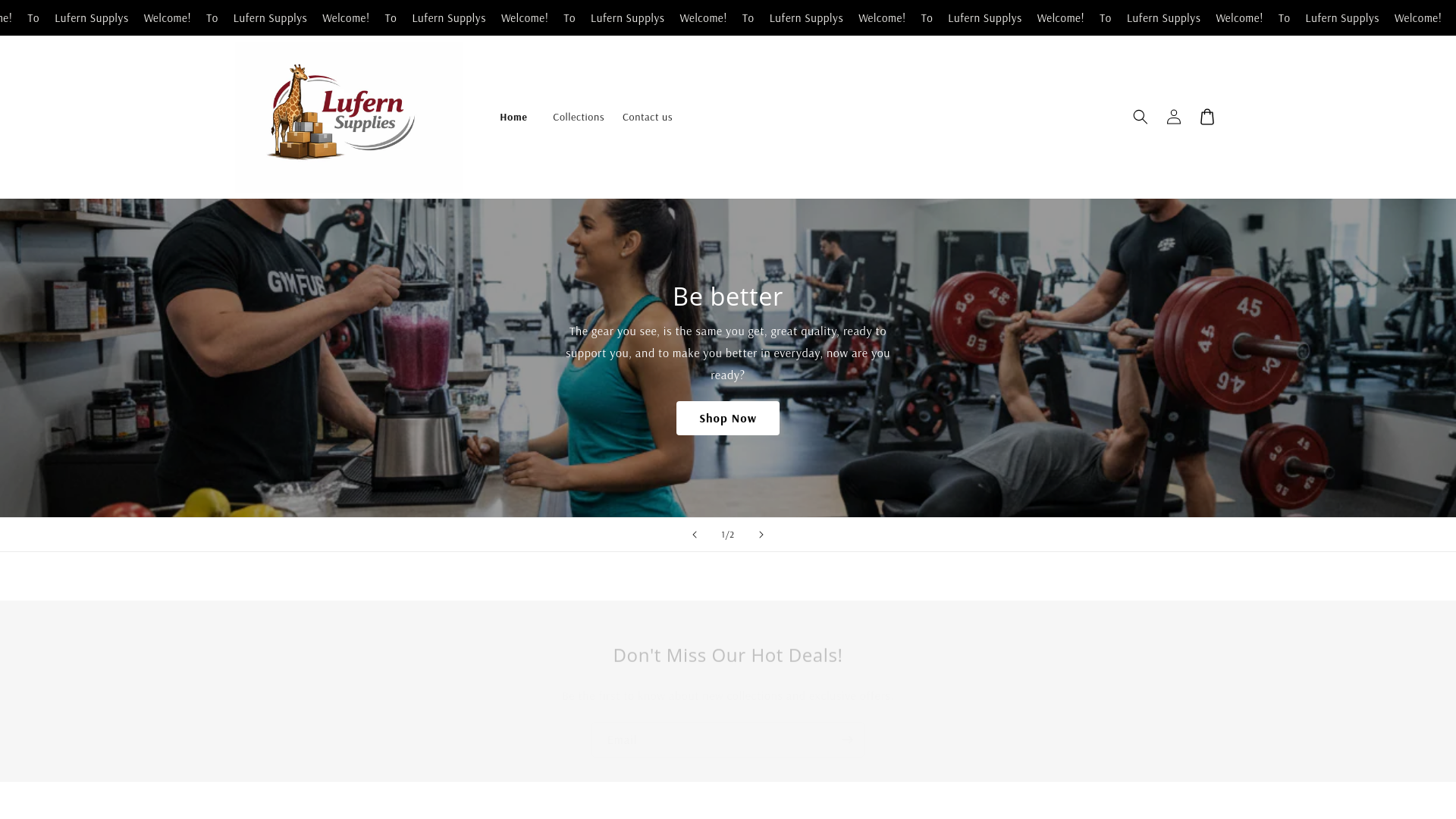 website screenshot of https://lufernsupplies.store