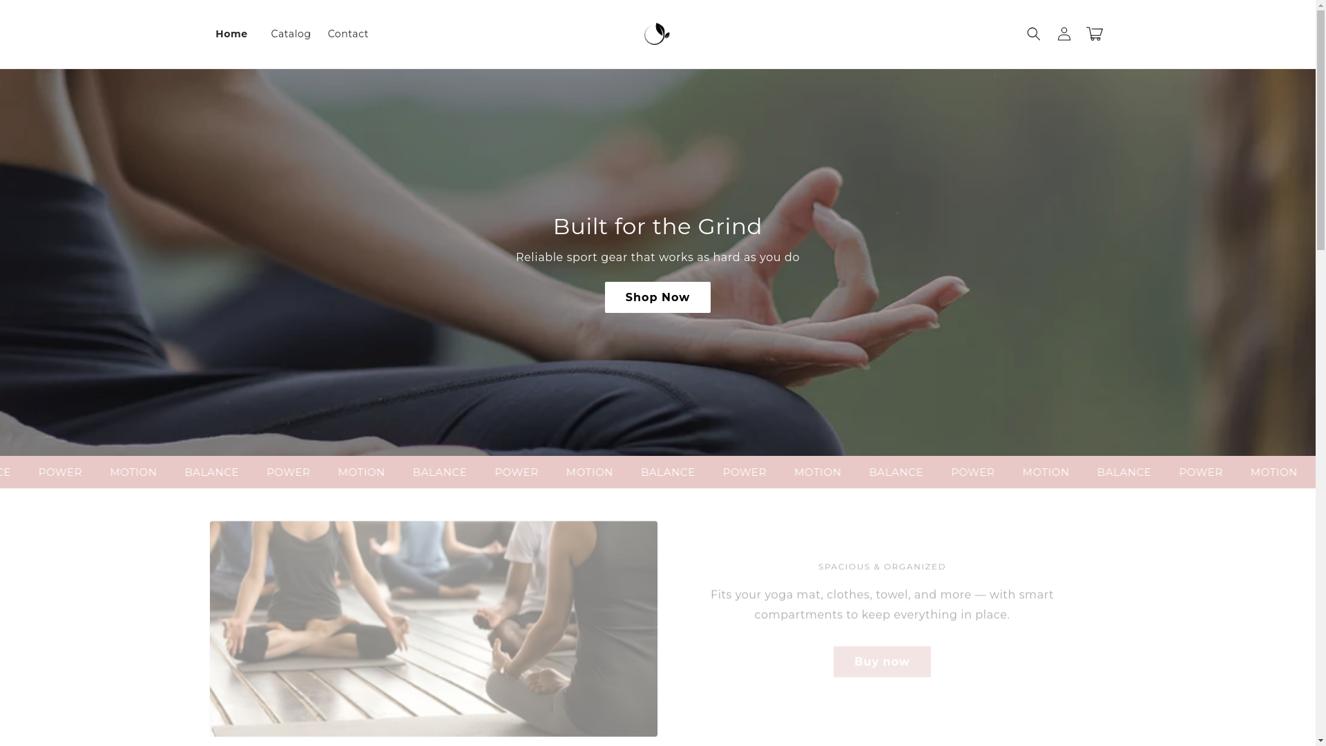 website screenshot of https://grind-fitness.store/