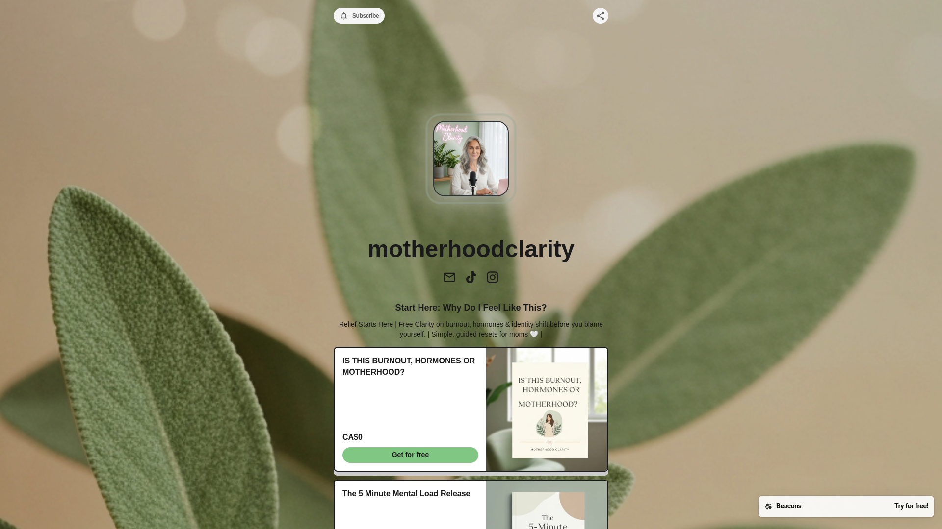 website screenshot of https://motherhoodclarity.store/