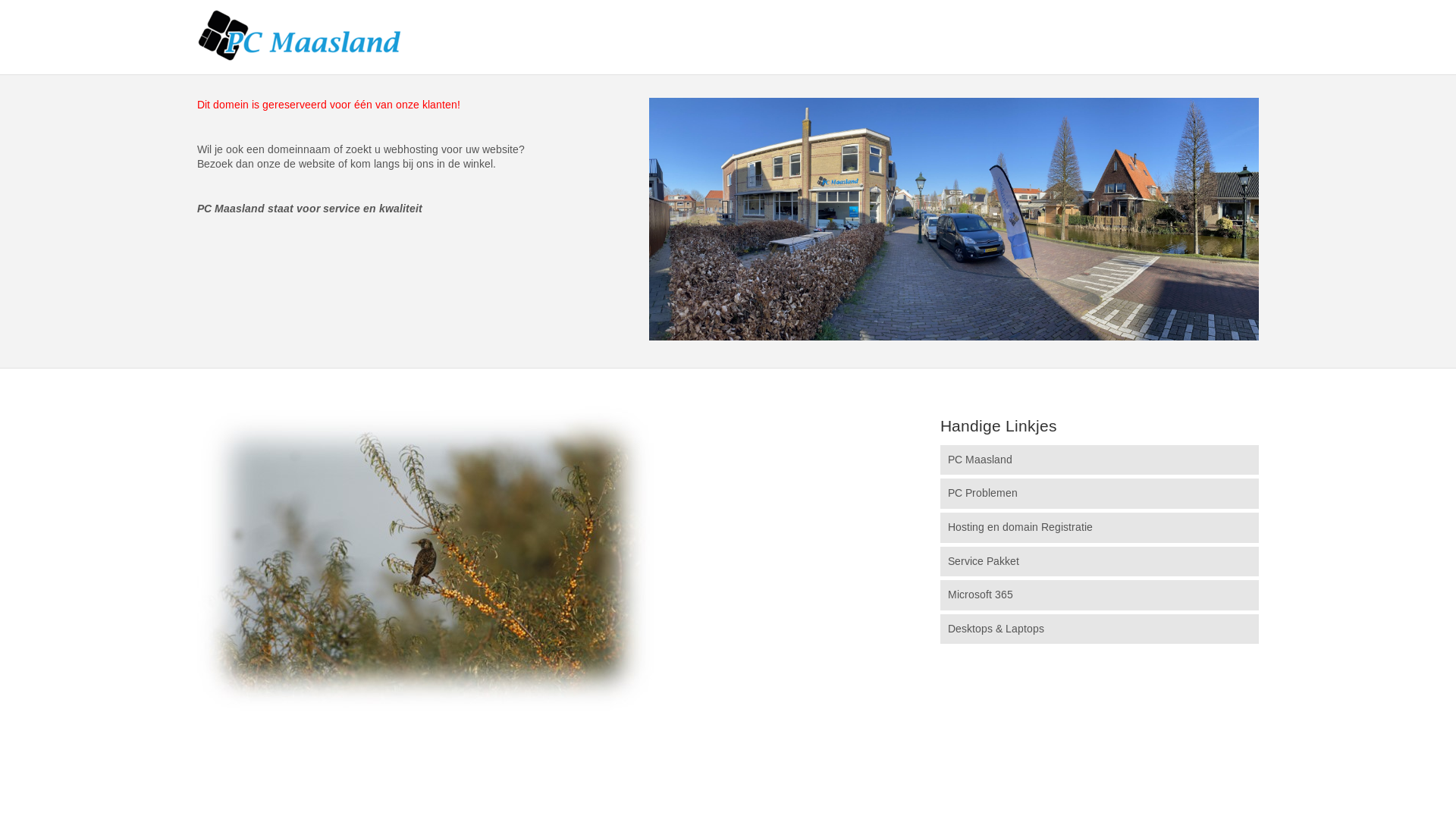 website screenshot of https://theqhoogeveen.nl/