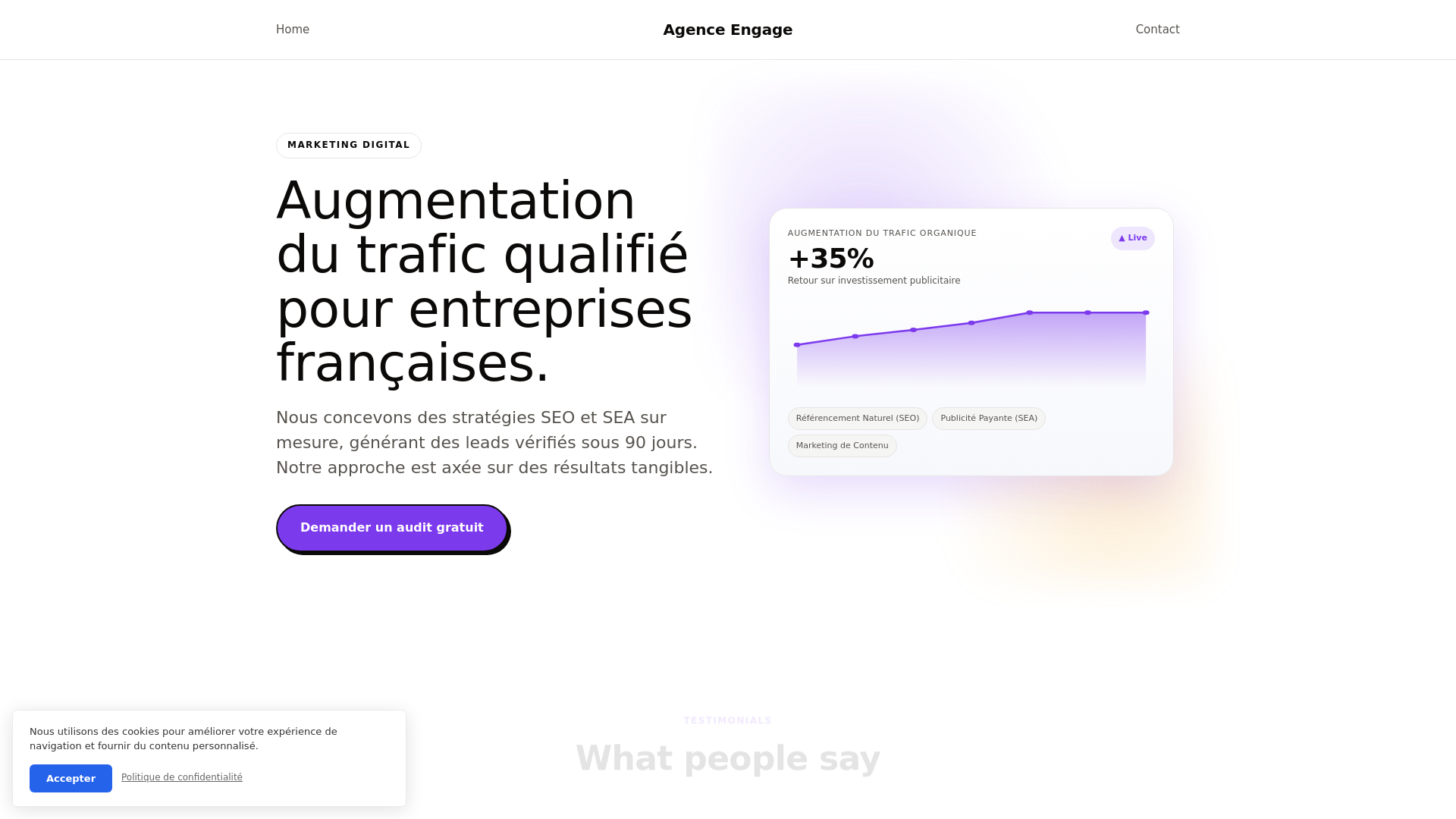 website screenshot of https://snapengage.sbs/
