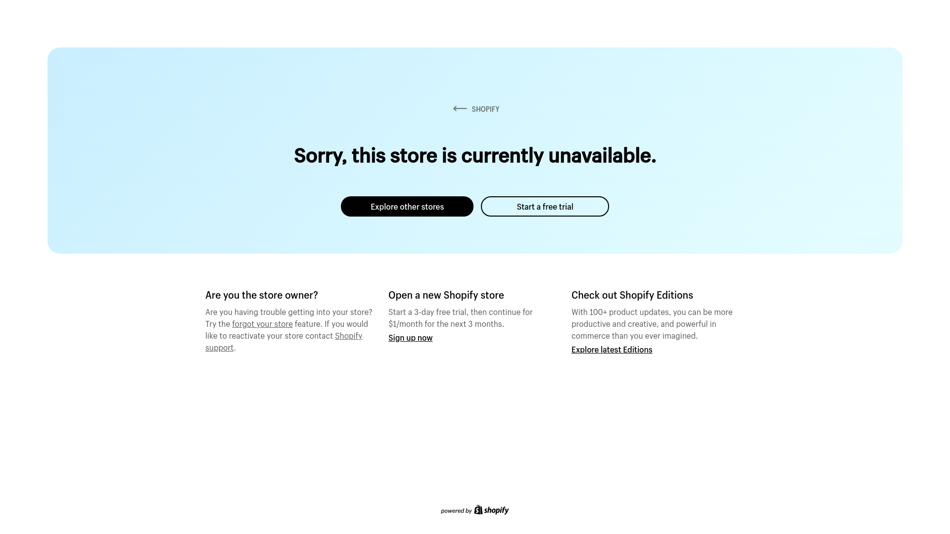 website screenshot of https://cactuschris.shop