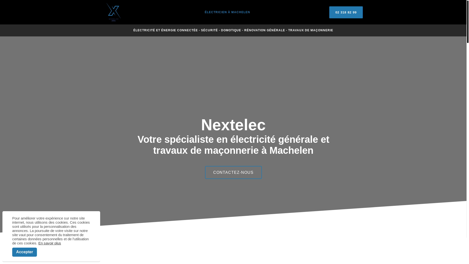 website screenshot of https://next-elec.be/
