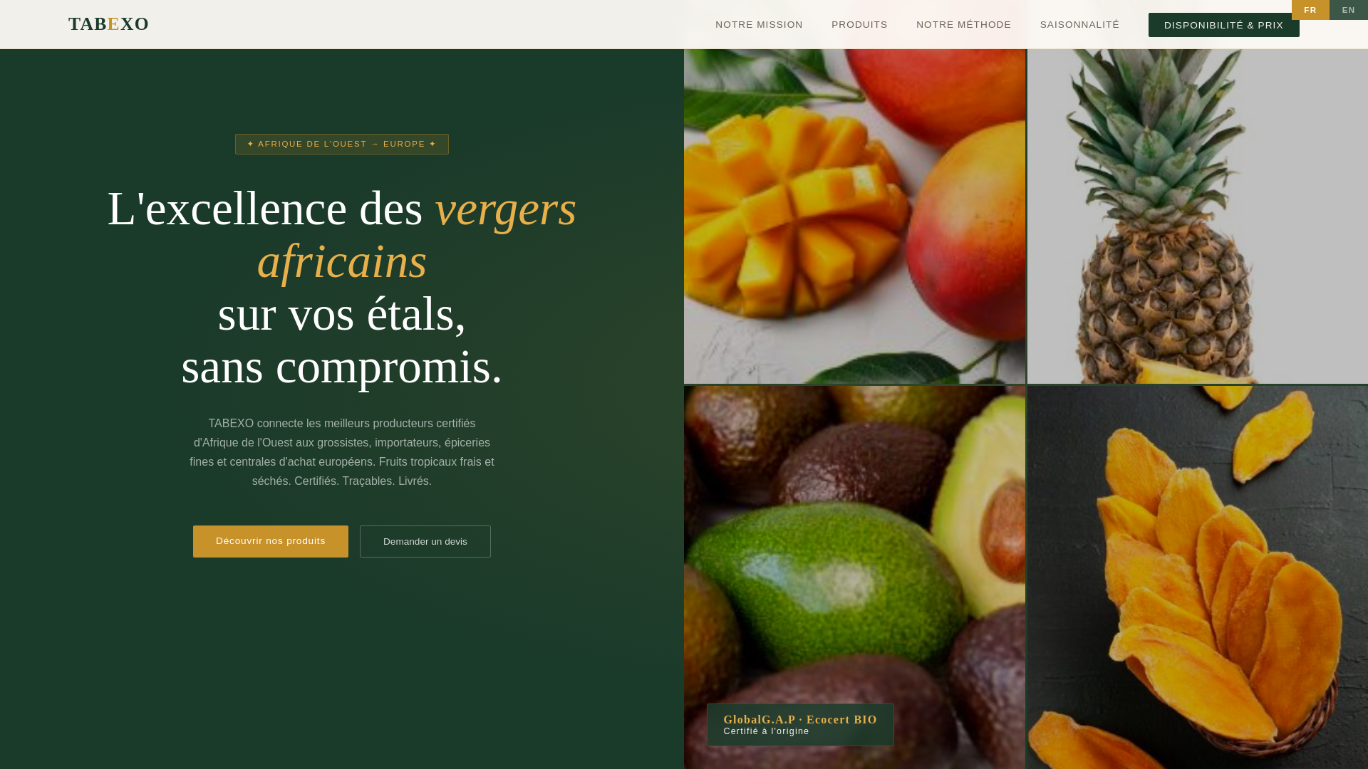 website screenshot of https://tabexo.fr/