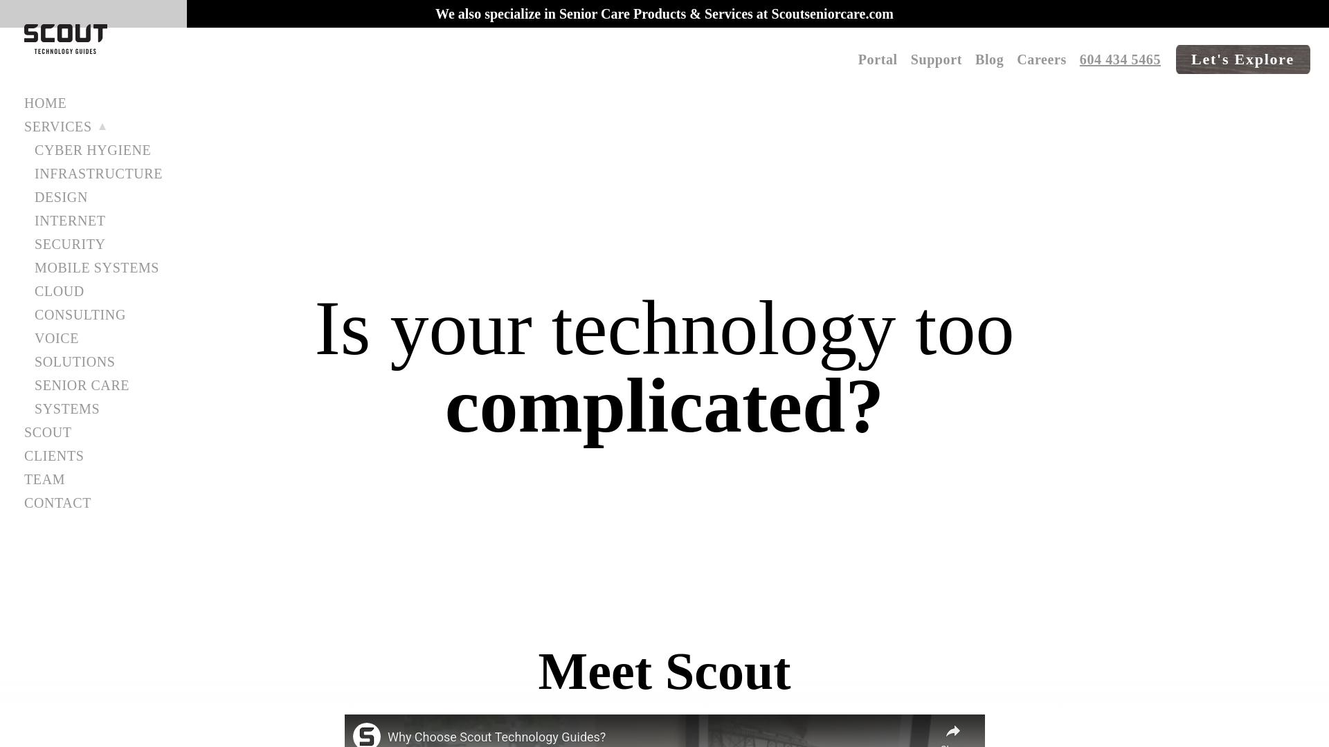 website screenshot of https://scouttg.com/