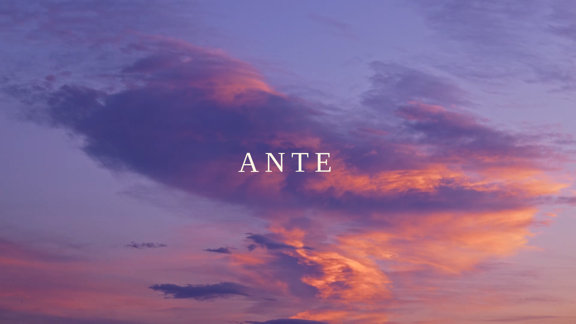 website screenshot of https://ante.photo/