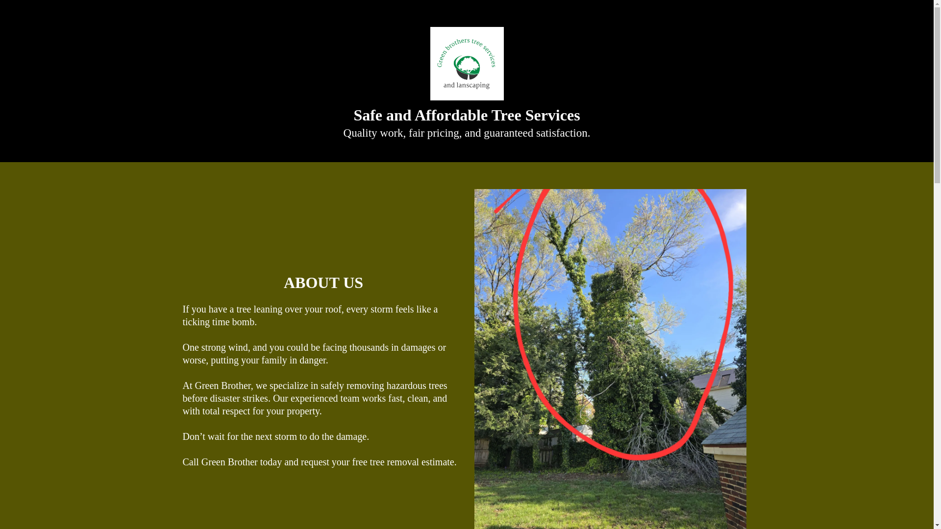 website screenshot of https://greenbrotherswebsite.com/