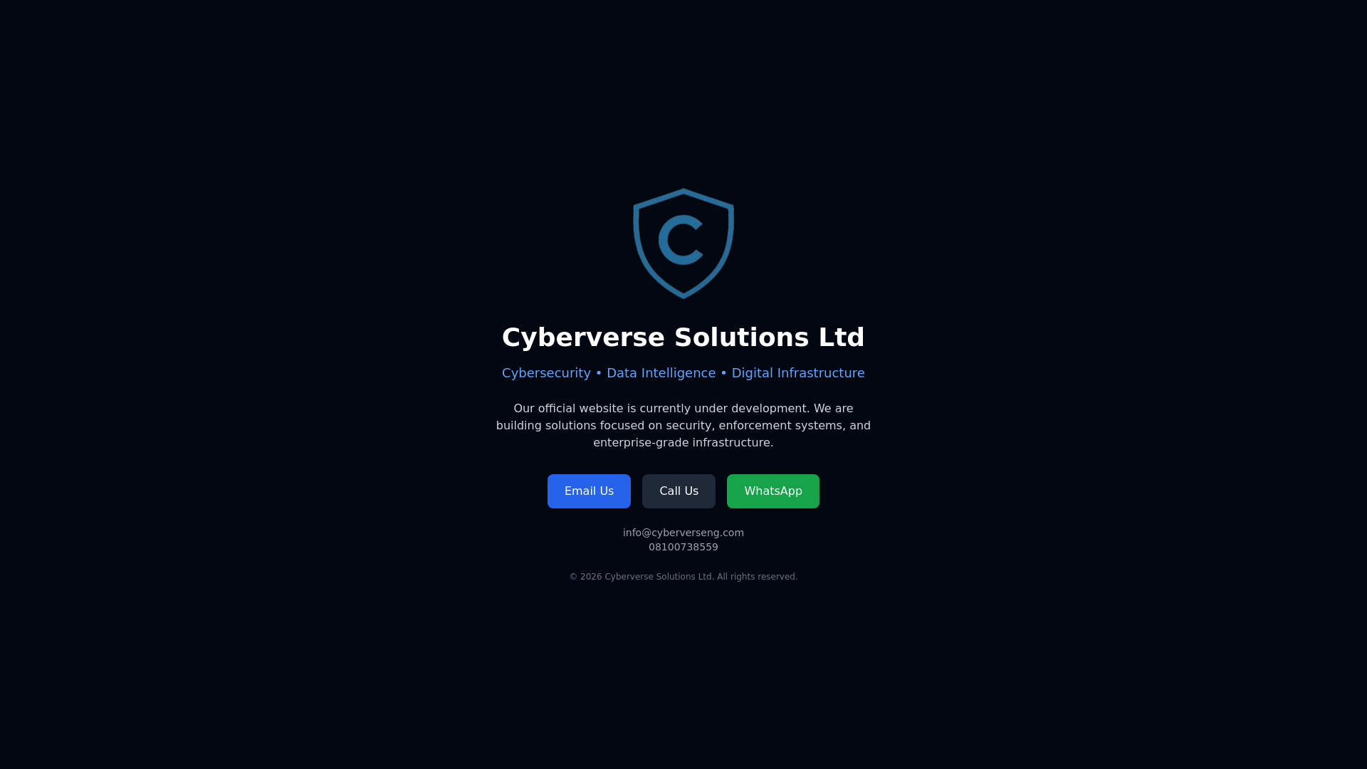 website screenshot of https://cyberverseng.com/