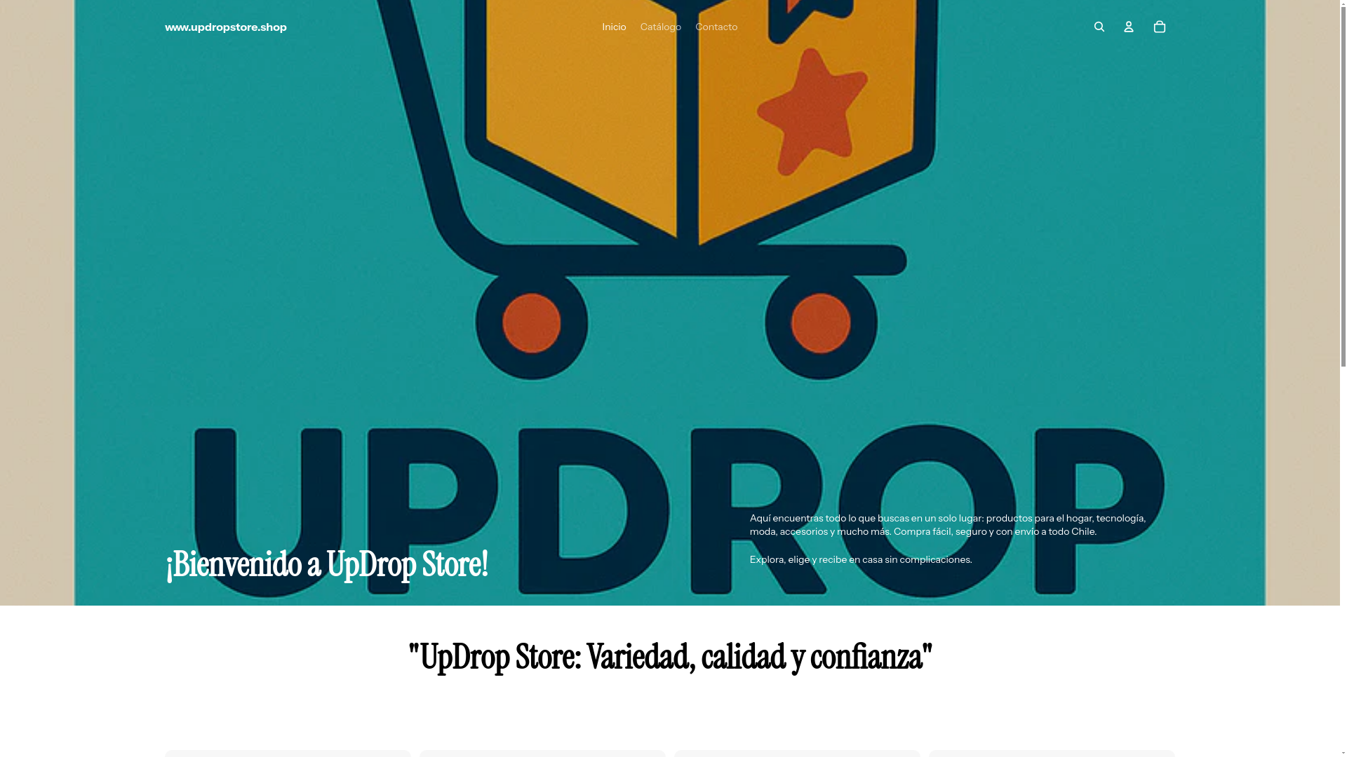 website screenshot of https://updropstore.shop/
