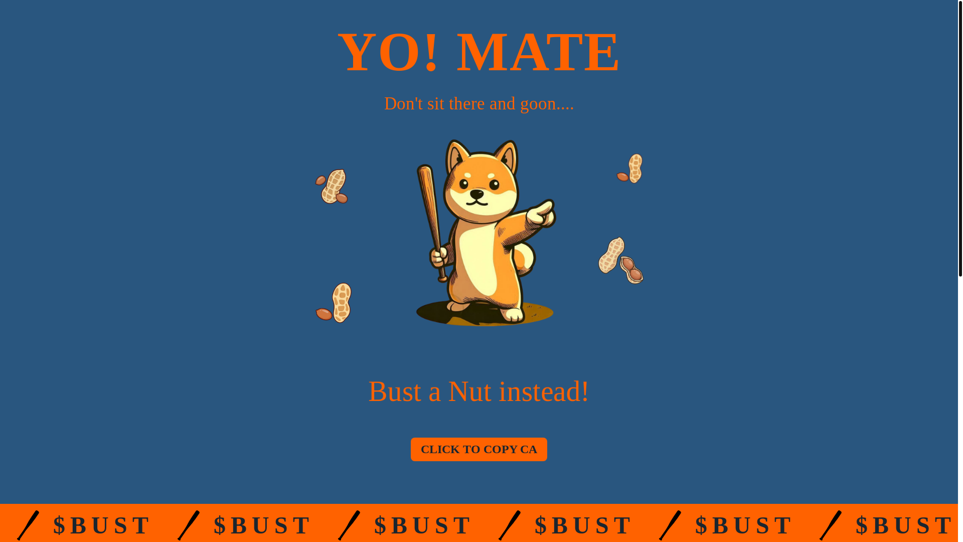 website screenshot of https://bustanutonsol.pages.dev/