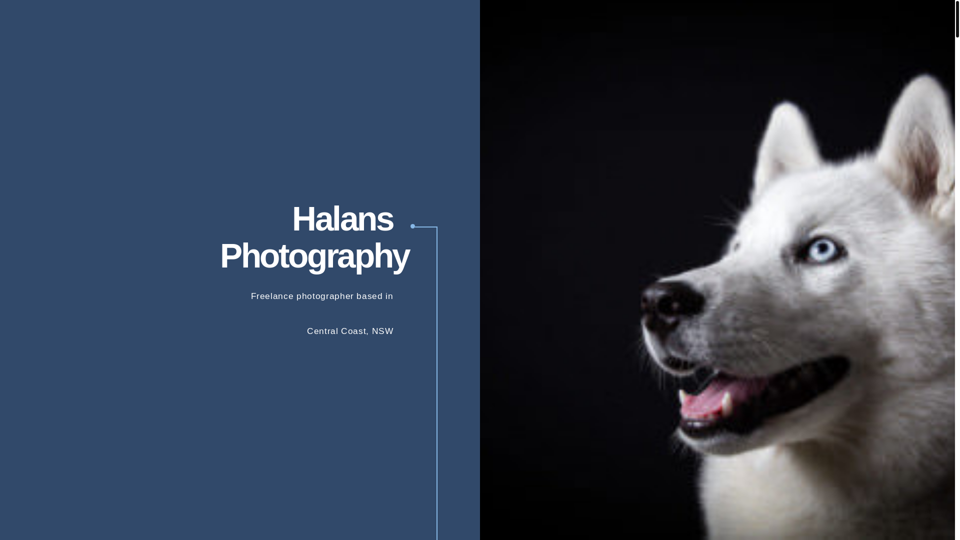 website screenshot of https://halansphotography-com.pages.dev/