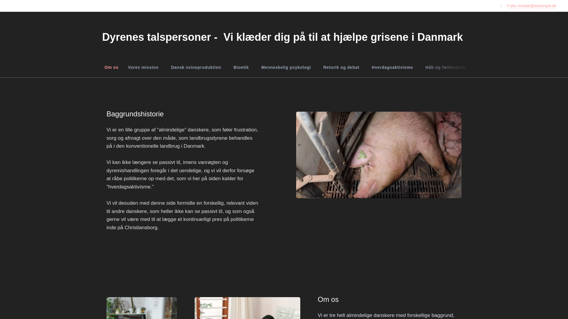 website screenshot of https://dyrenes-talspersoner.dk/