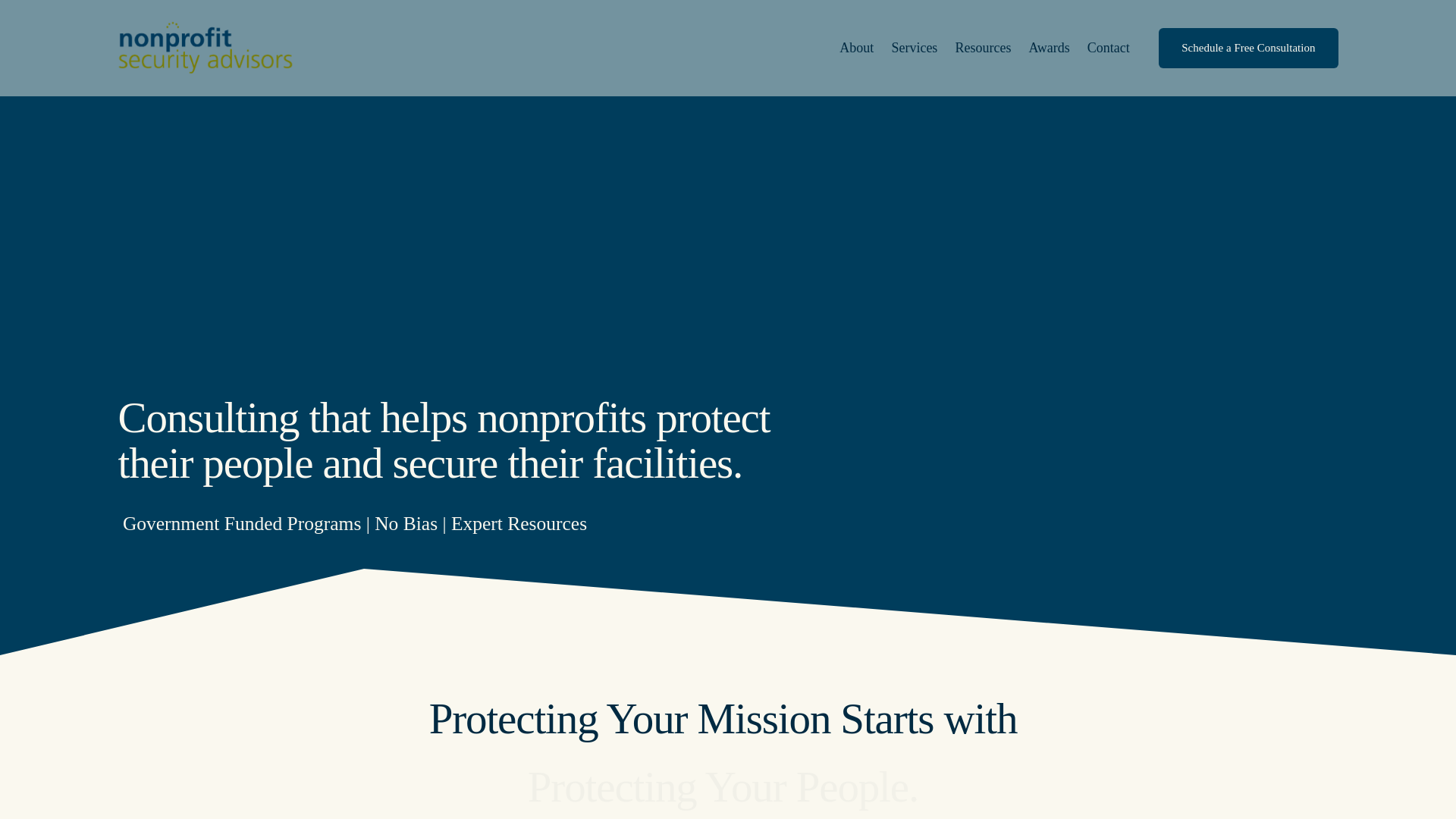 website screenshot of https://consultingnpsateam.com/