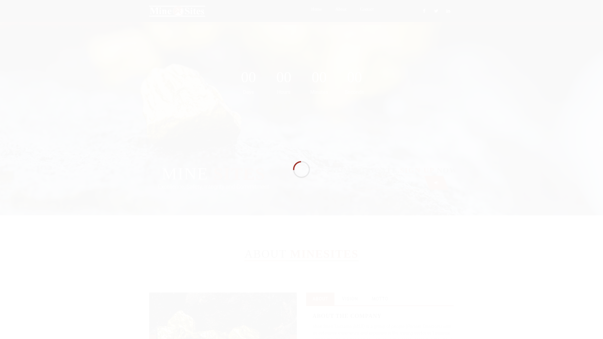 website screenshot of https://minesites.co.tz