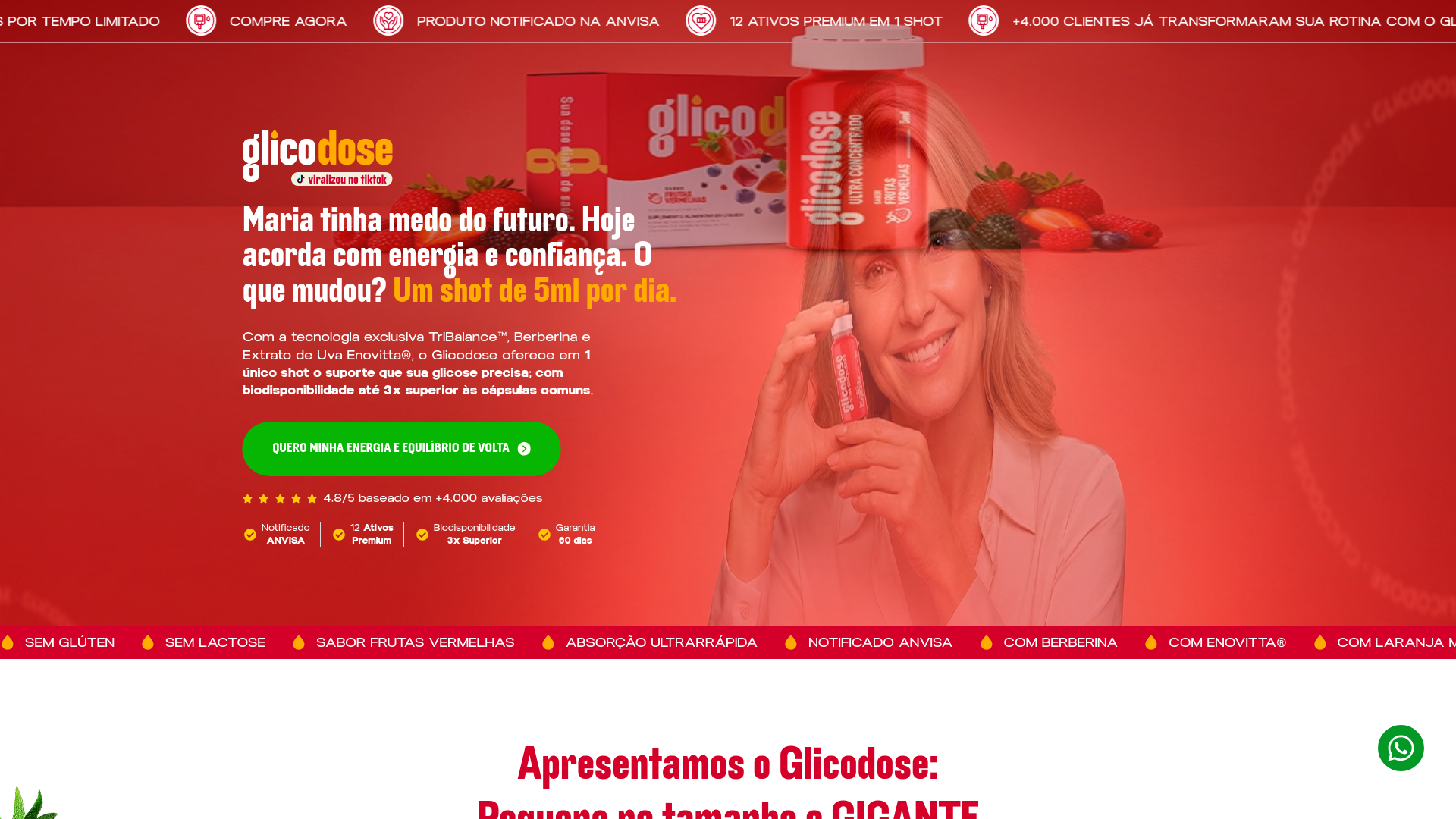 website screenshot of https://glicodose.pages.dev/