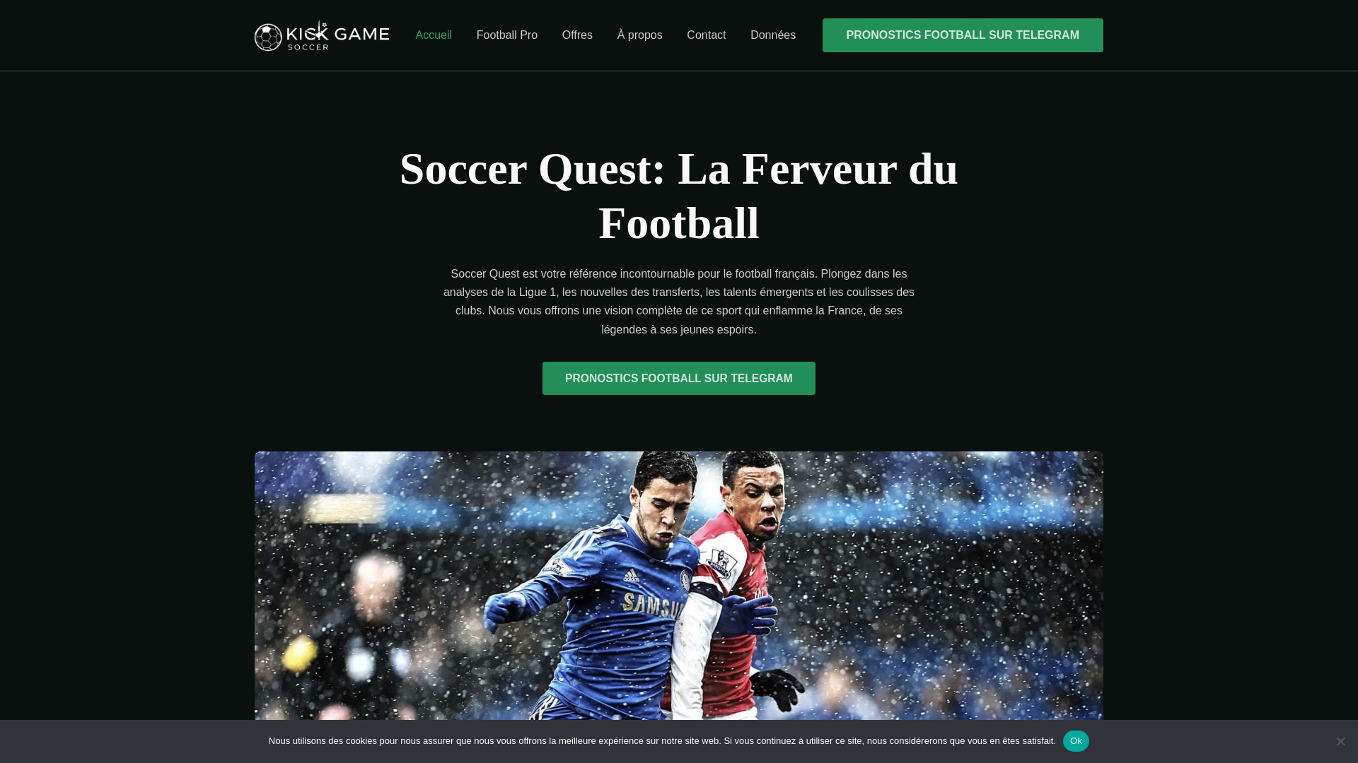 website screenshot of https://soccerquest.site