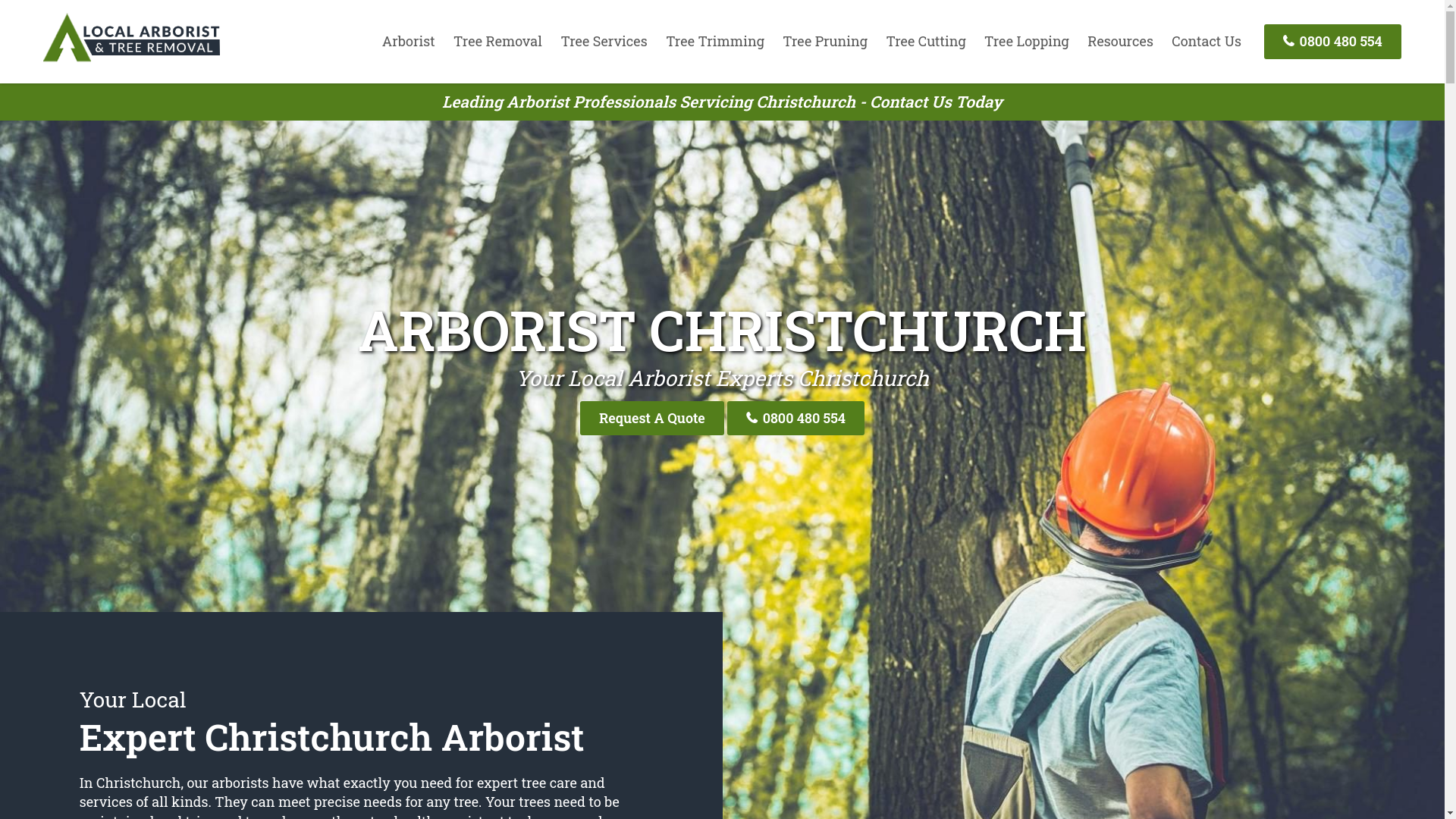 website screenshot of https://christchurcharborist-nz.pages.dev/