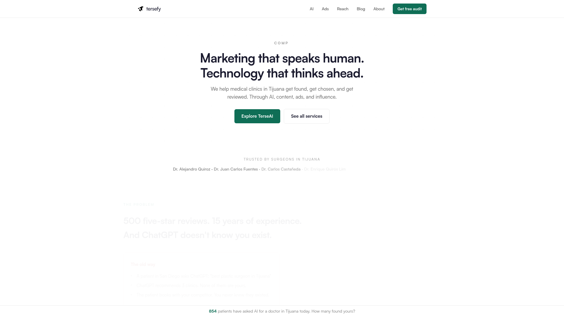 website screenshot of https://tersefy-site.pages.dev/