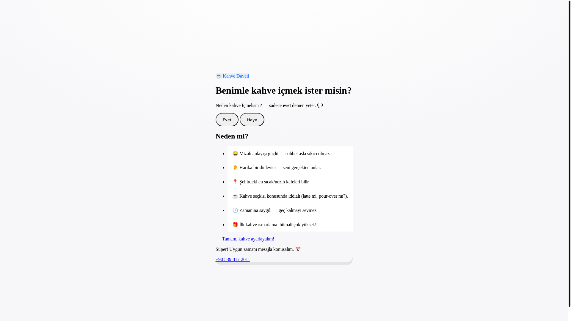 website screenshot of https://ilkgorusteask.pages.dev/