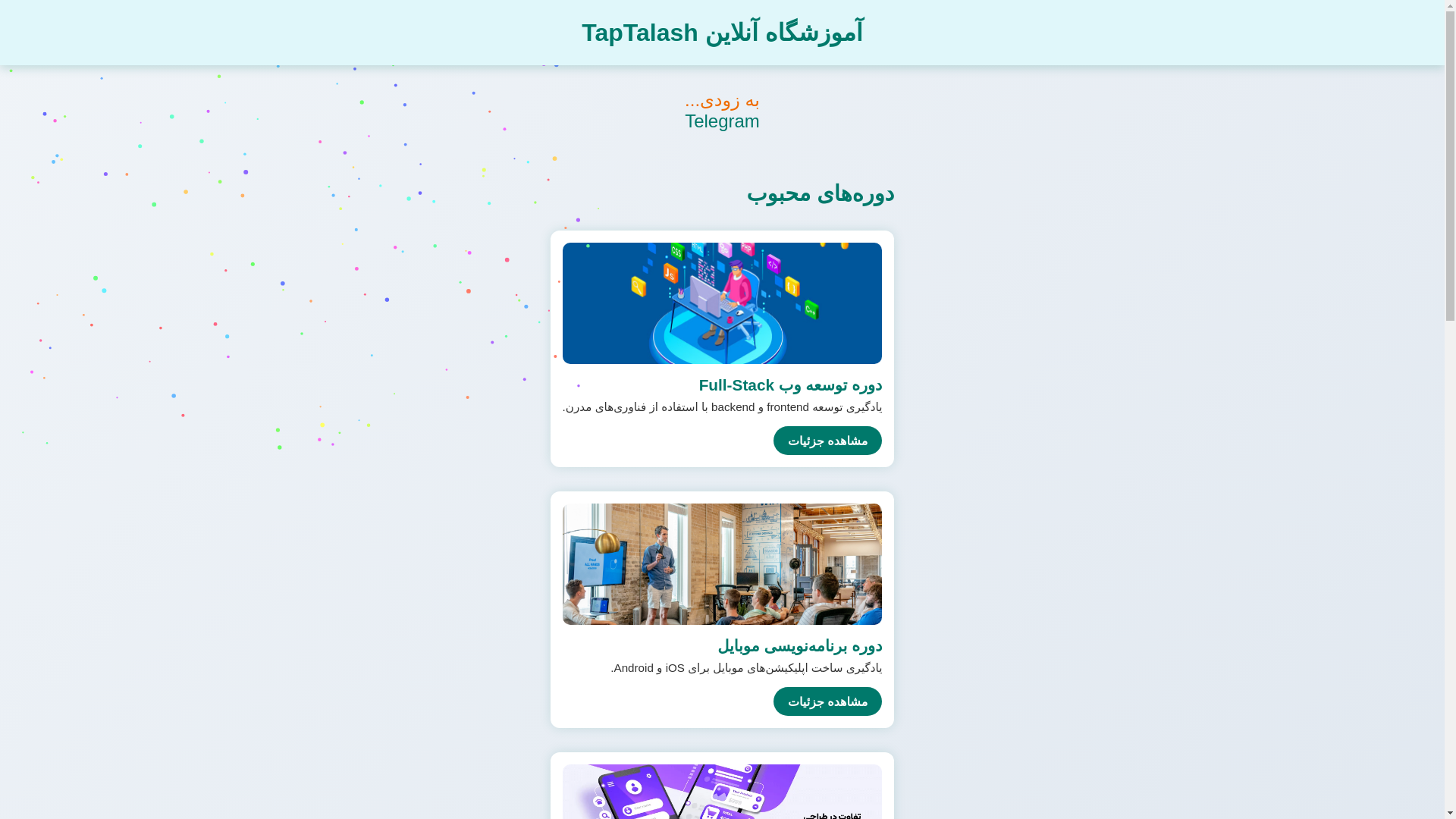 website screenshot of https://paybnp.com/