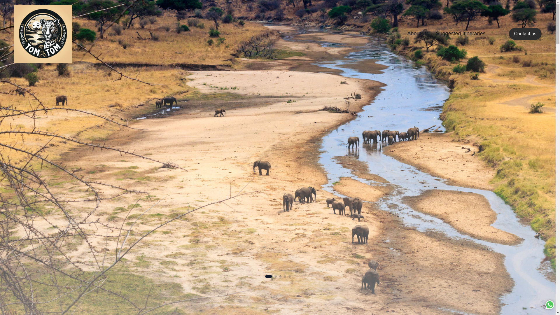 website screenshot of https://tomtomafricansafari.com/