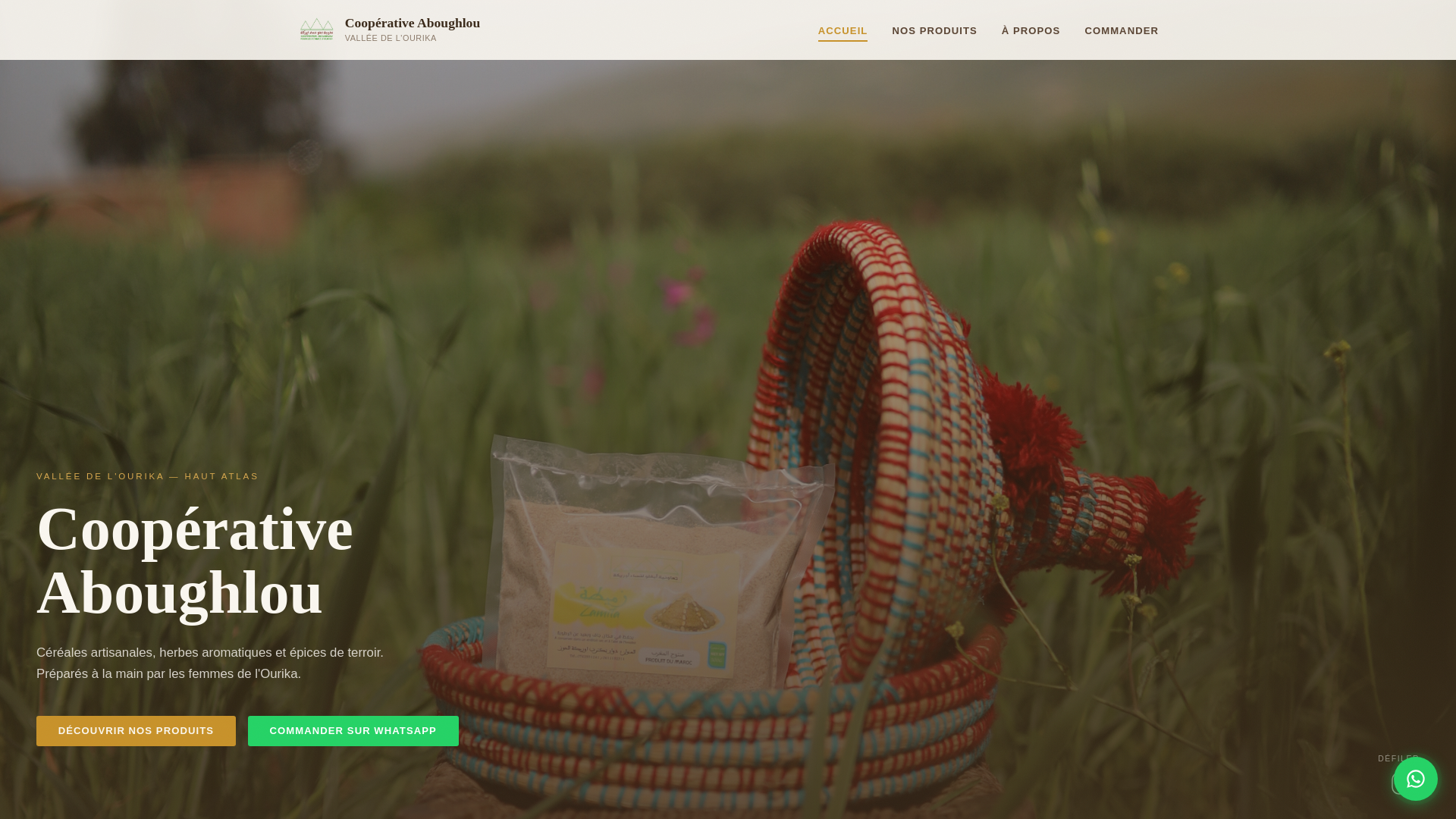 website screenshot of https://cooperative-aboughlou.com/