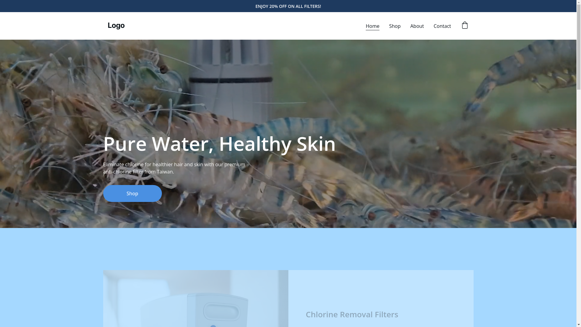 website screenshot of https://anti-chlorinefilter.com/