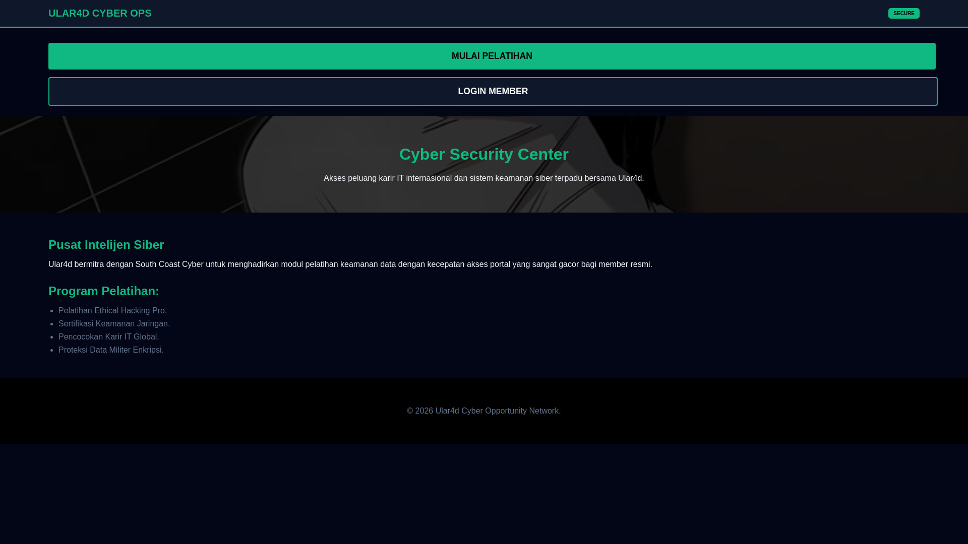 website screenshot of https://southcoastcyber.pages.dev/